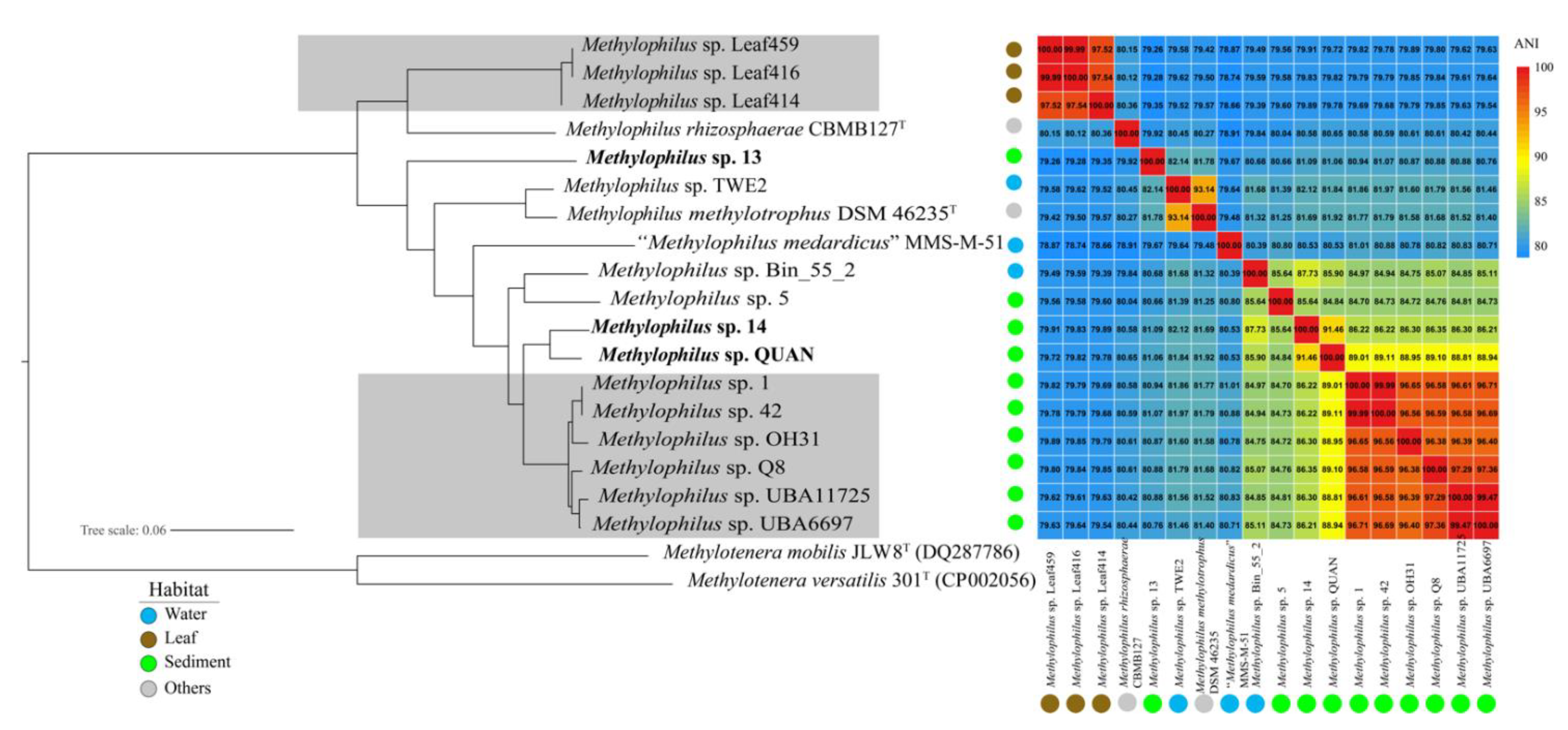 Microorganisms 09 01577 g002 Microorganisms 09 01577 g002