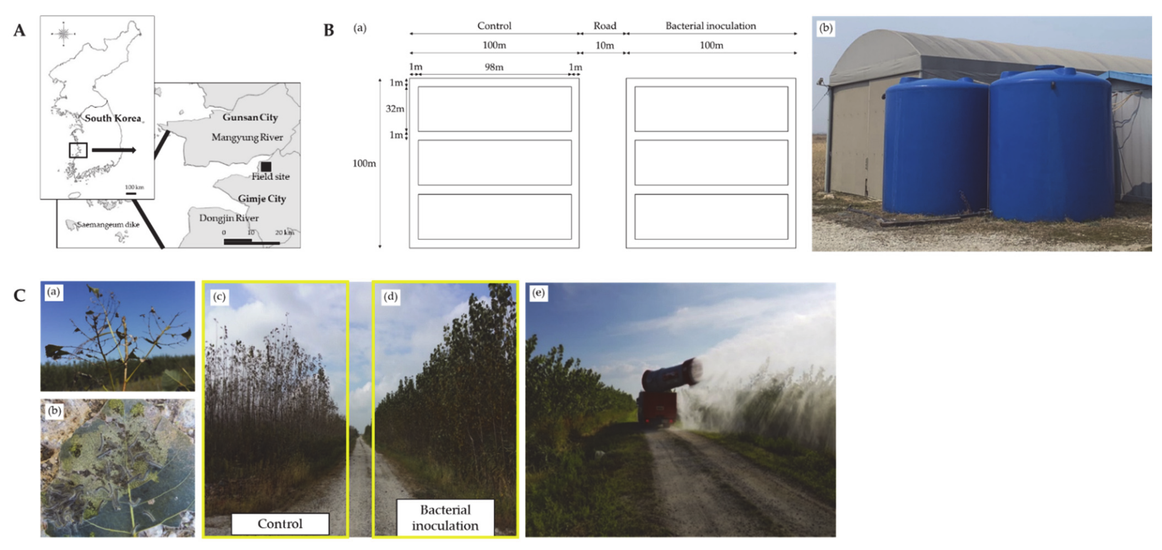 Microorganisms 09 01580 g001 550