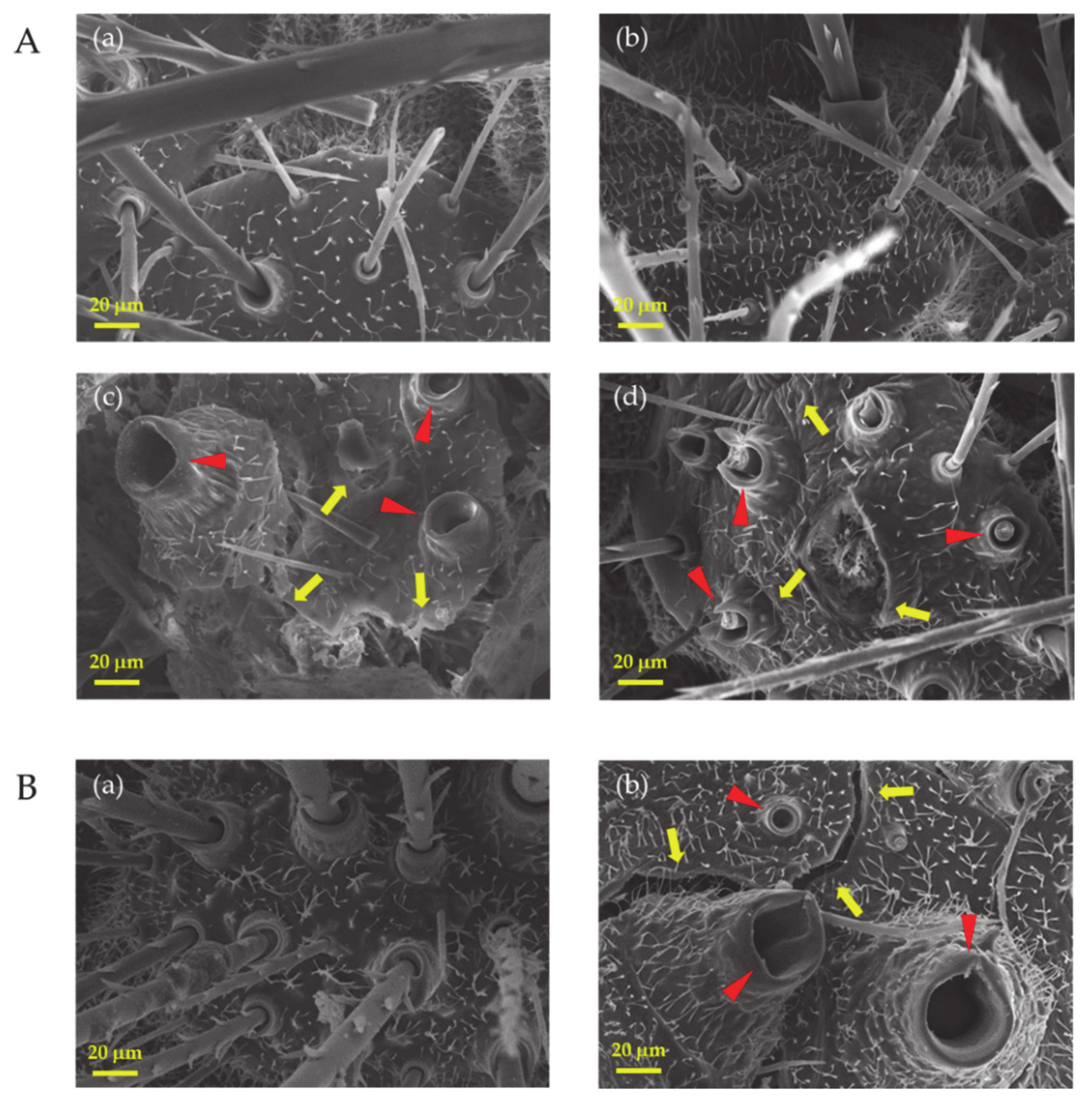 Microorganisms 09 01580 g005 550