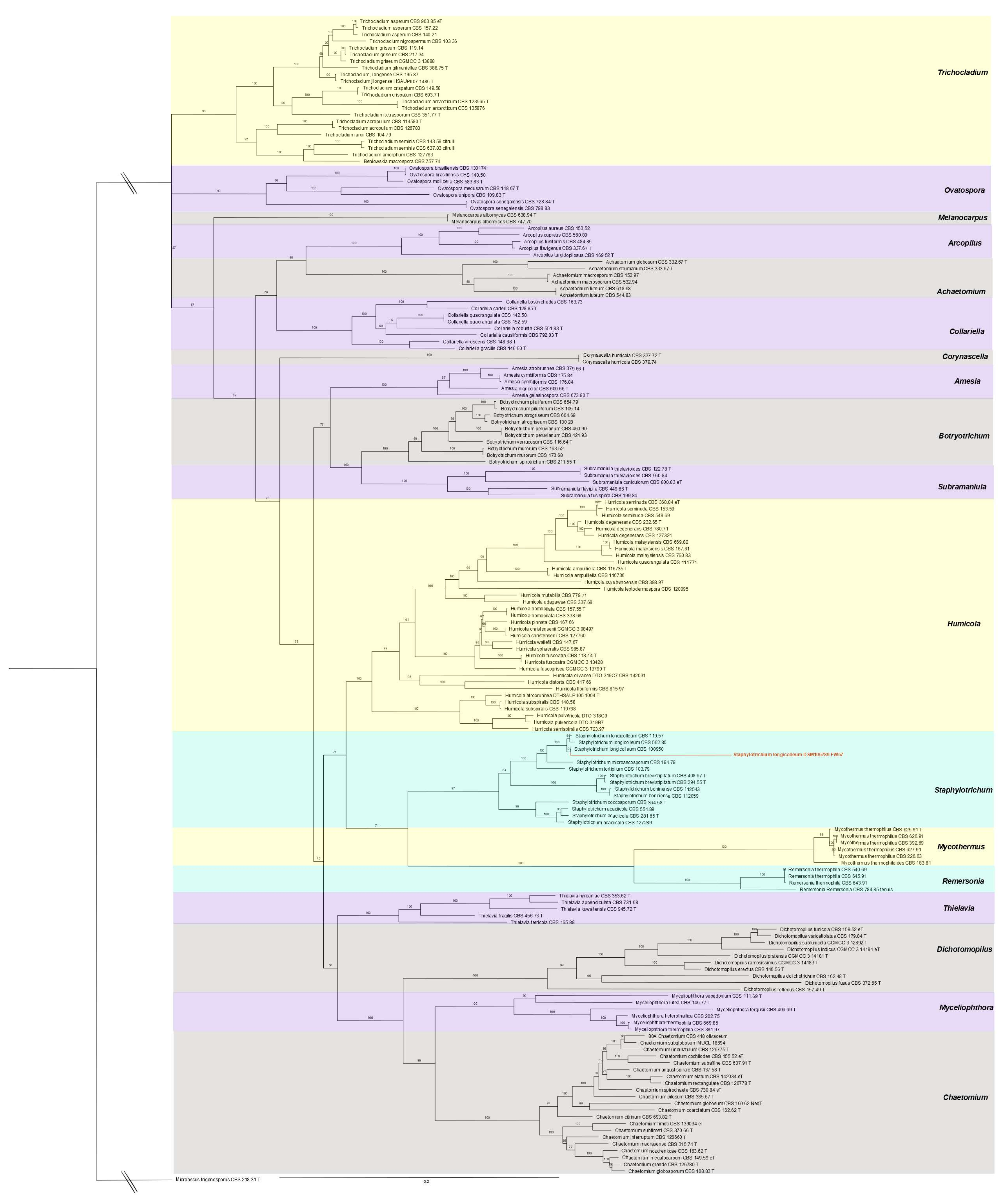 Microorganisms 09 01581 g002 Microorganisms 09 01581 g002
