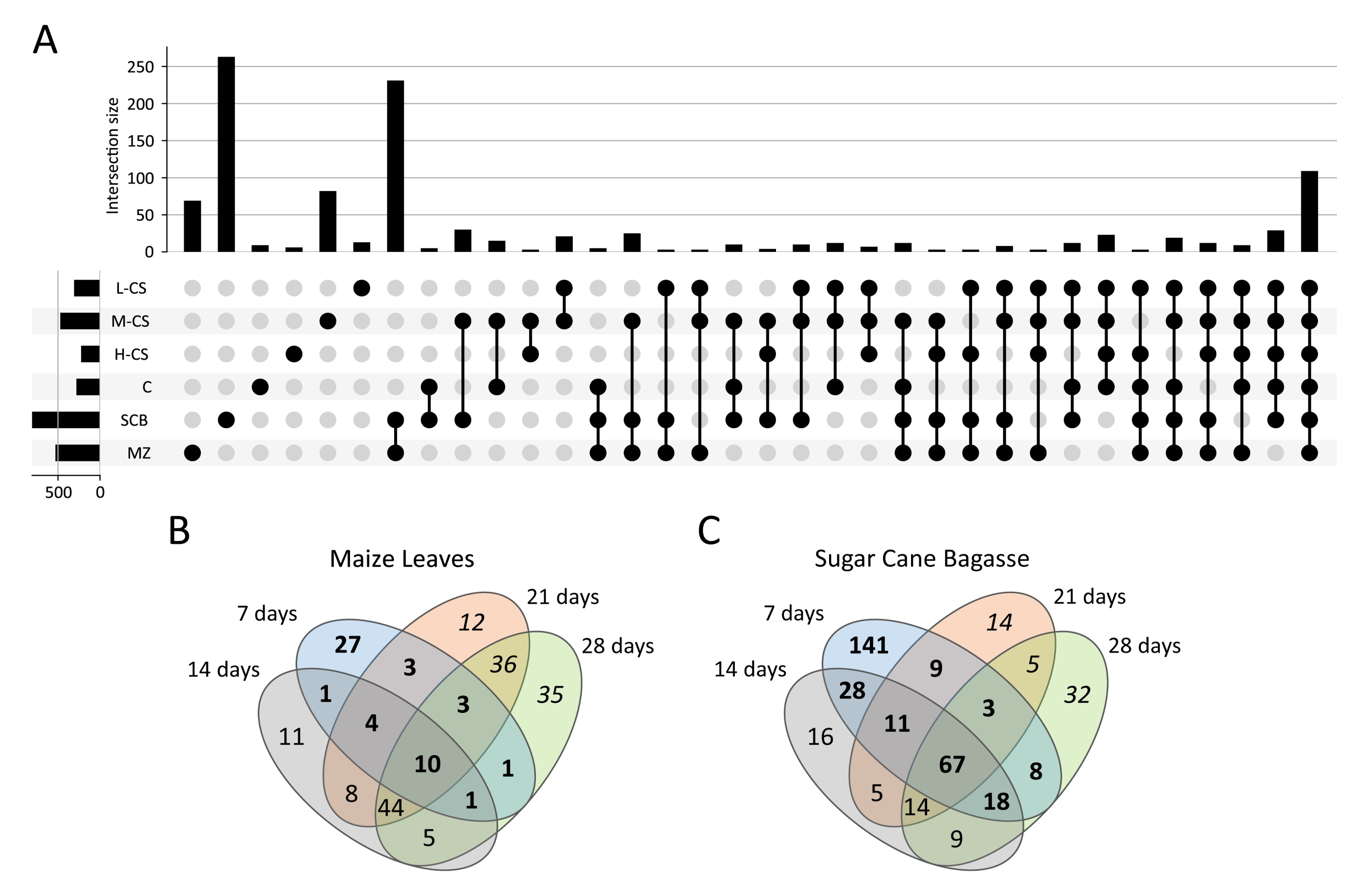 Microorganisms 09 01581 g005 Microorganisms 09 01581 g005