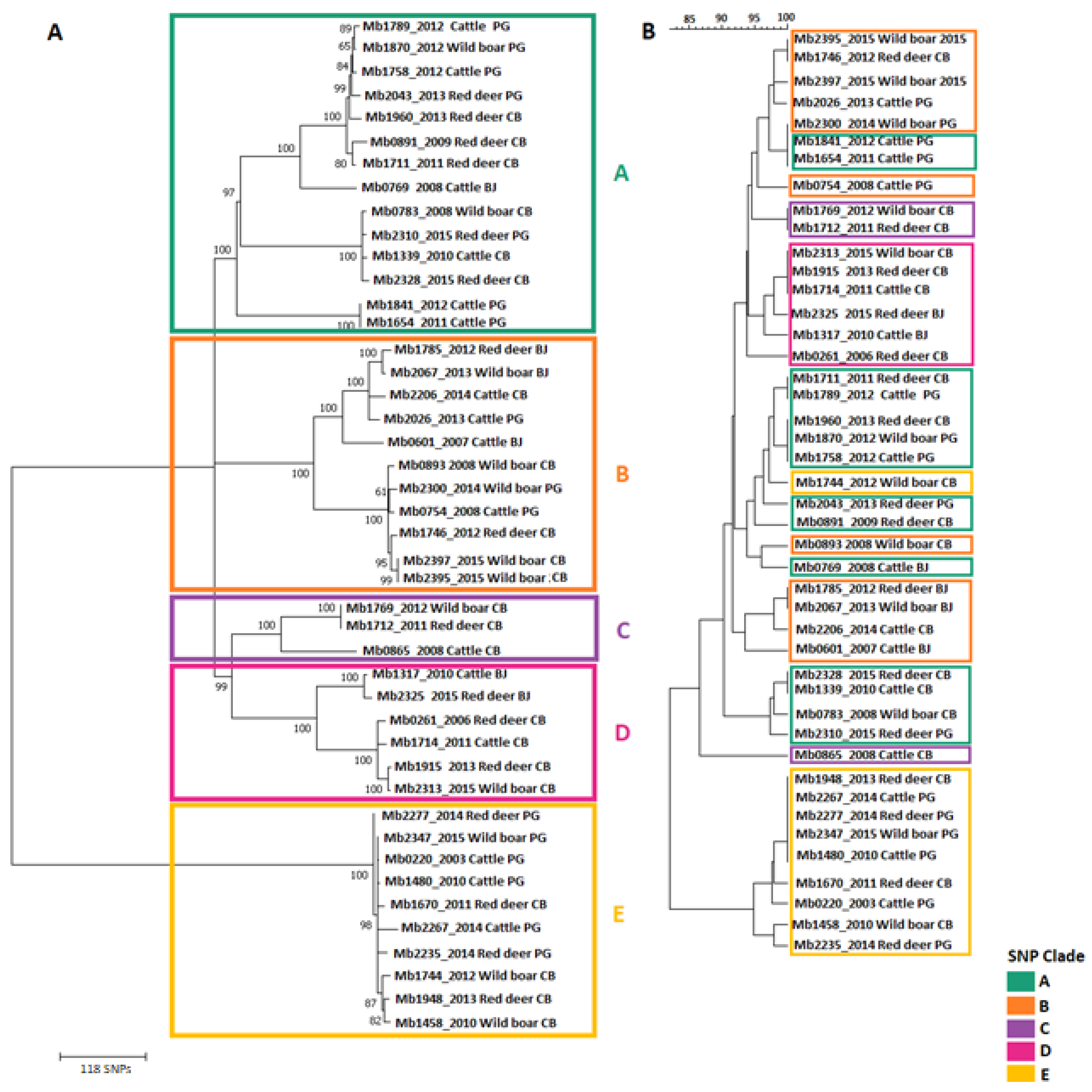 Microorganisms 09 01585 g001 550