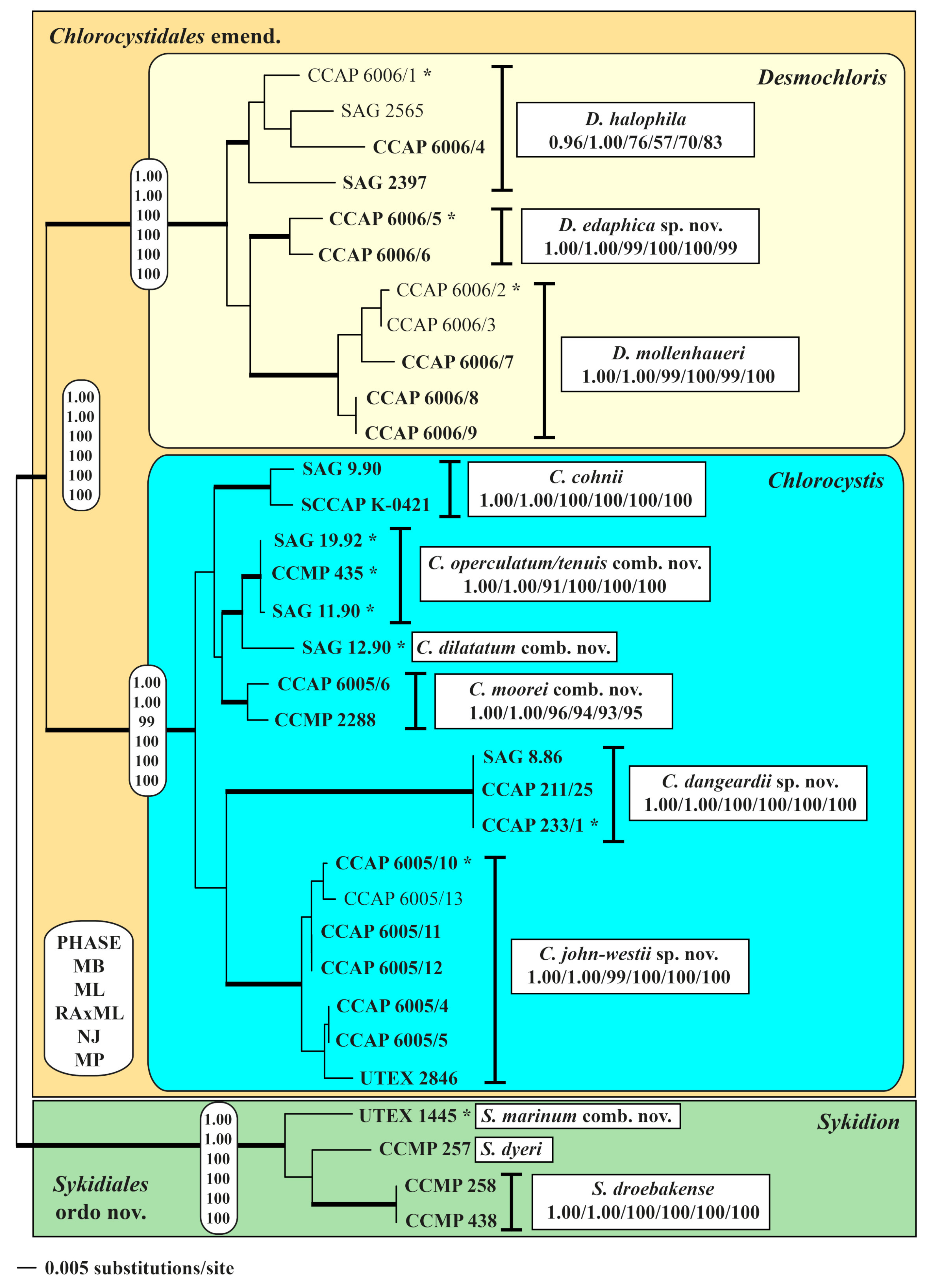 Microorganisms 09 01586 g002