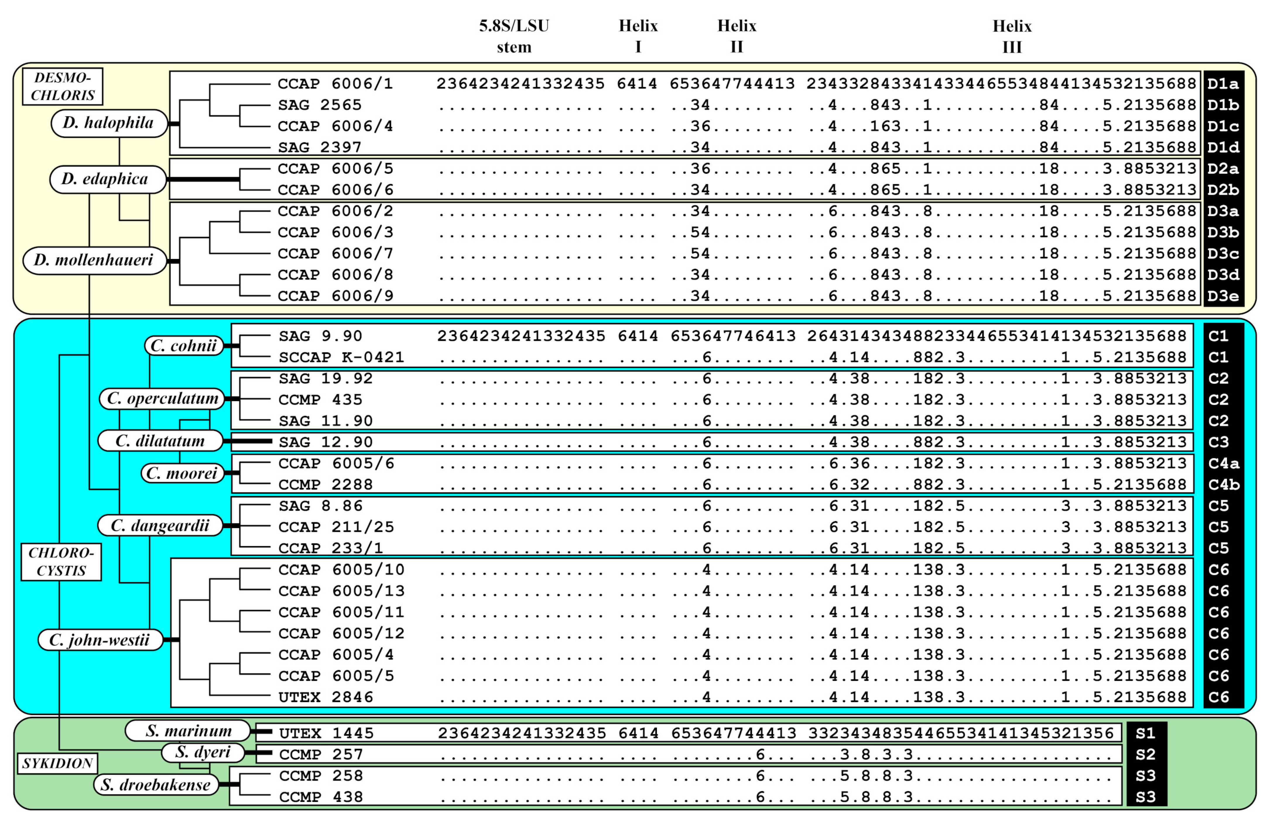 Microorganisms 09 01586 g003