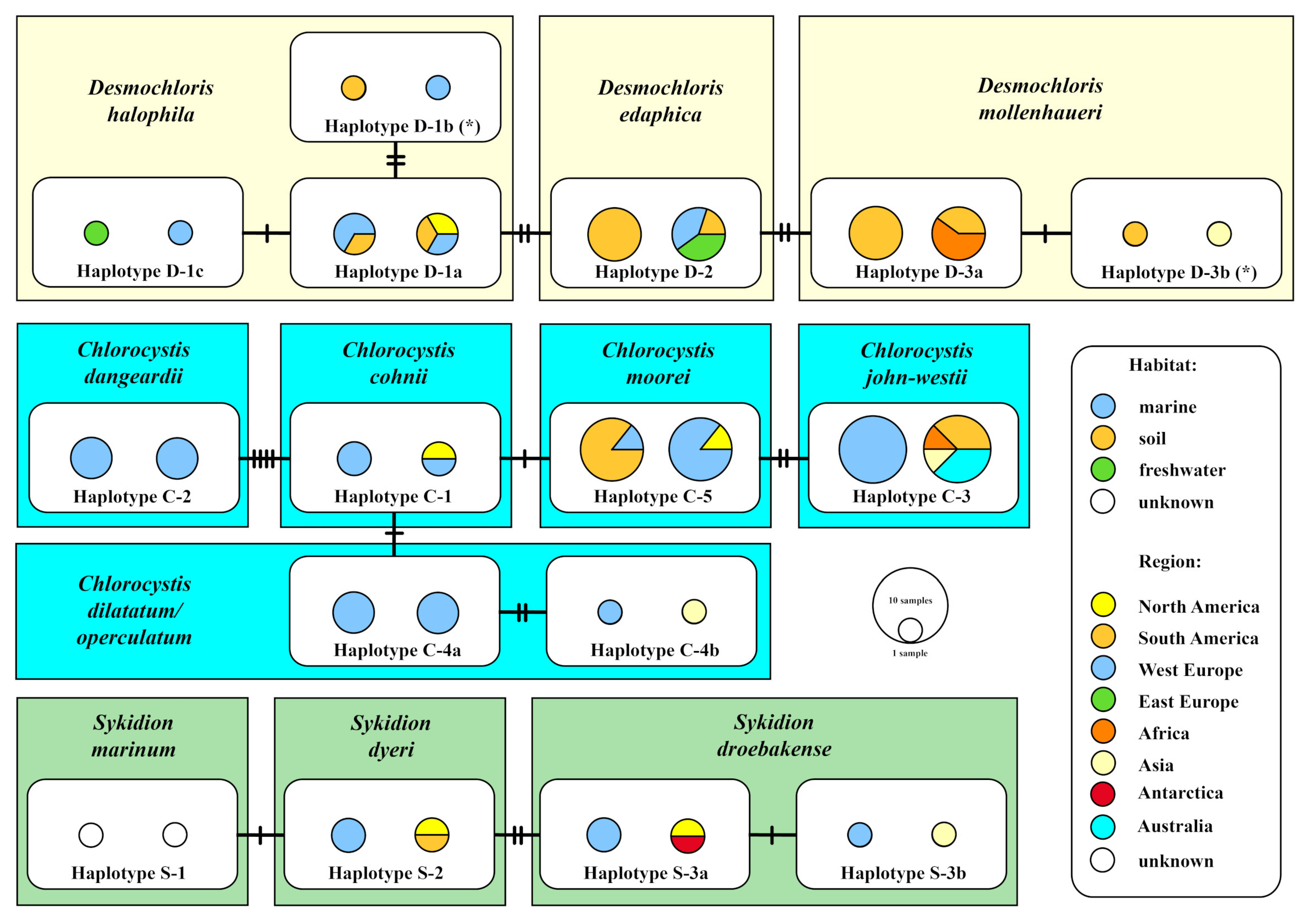 Microorganisms 09 01586 g004