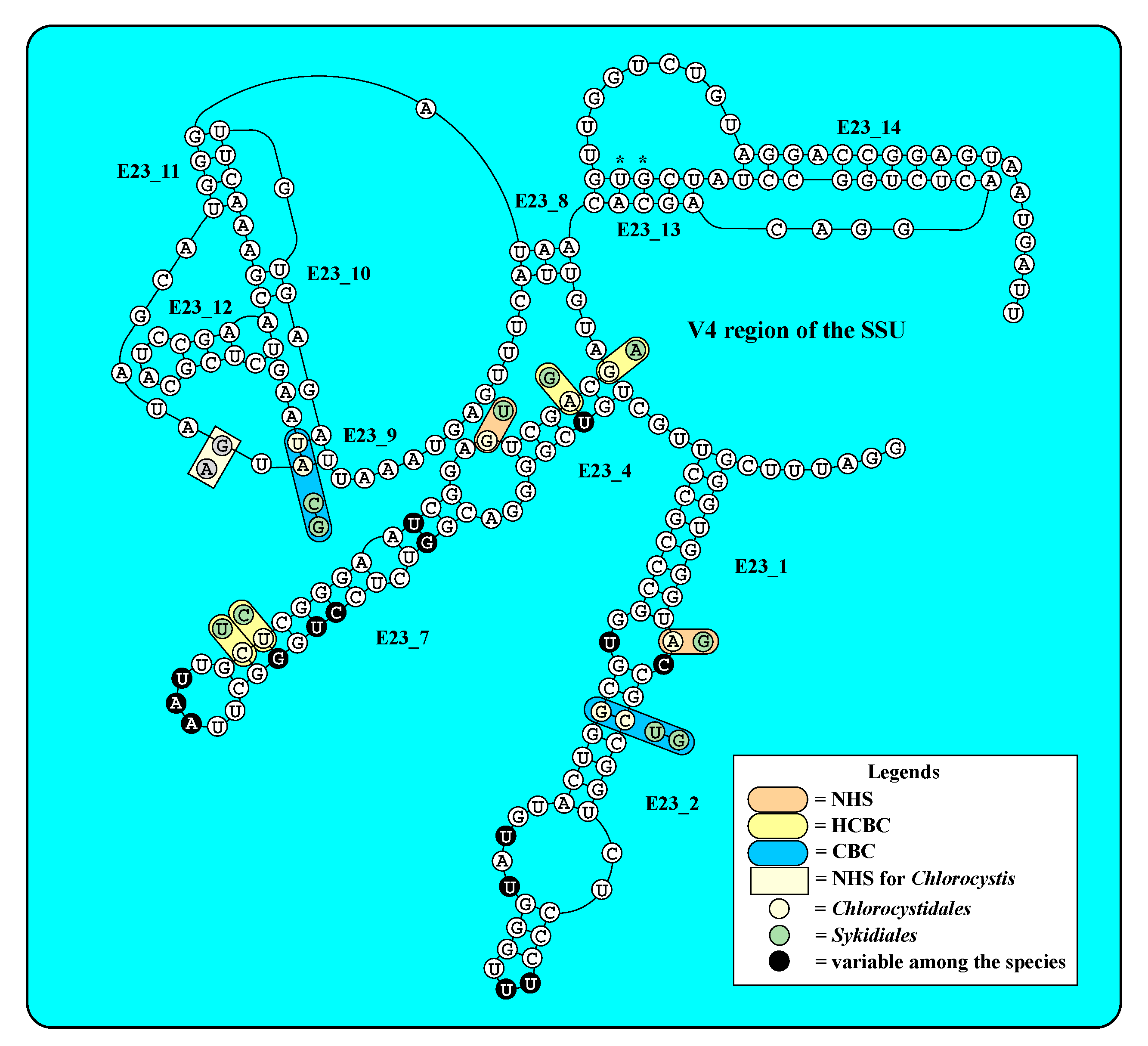 Microorganisms 09 01586 g005