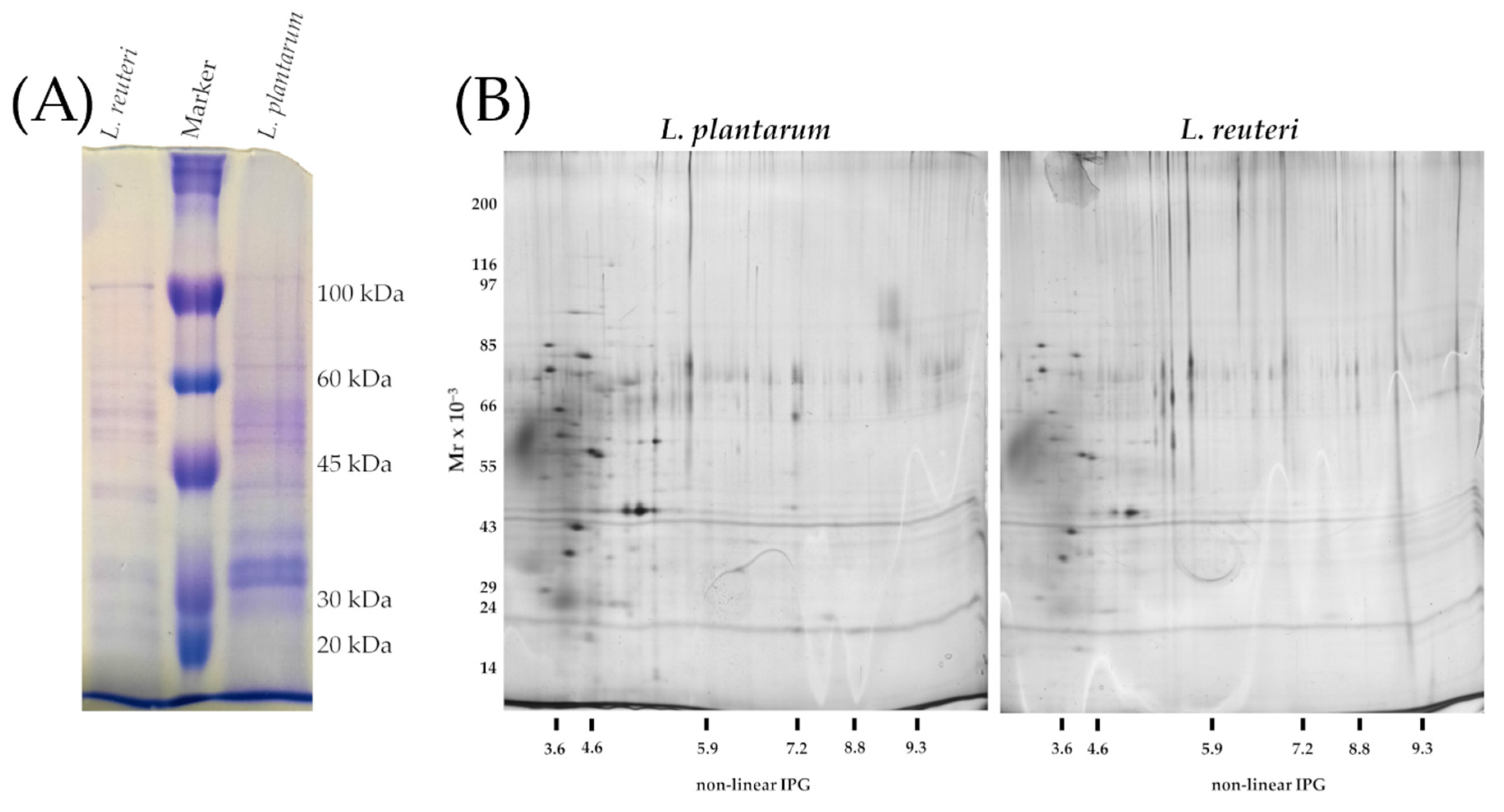 Microorganisms 09 01587 g006
