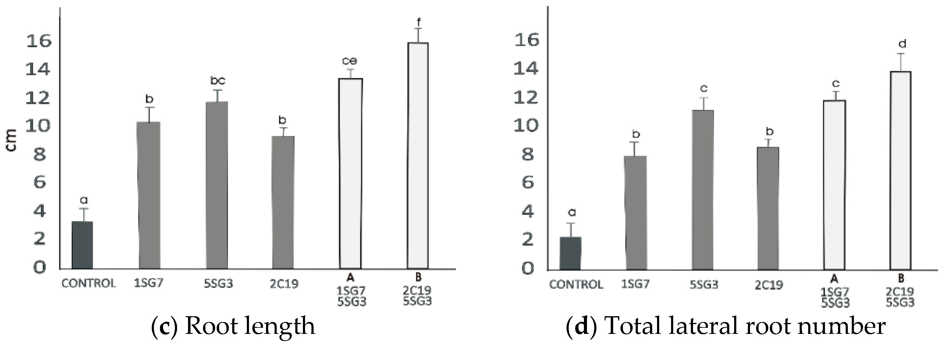 Microorganisms 09 01588 g008b 550