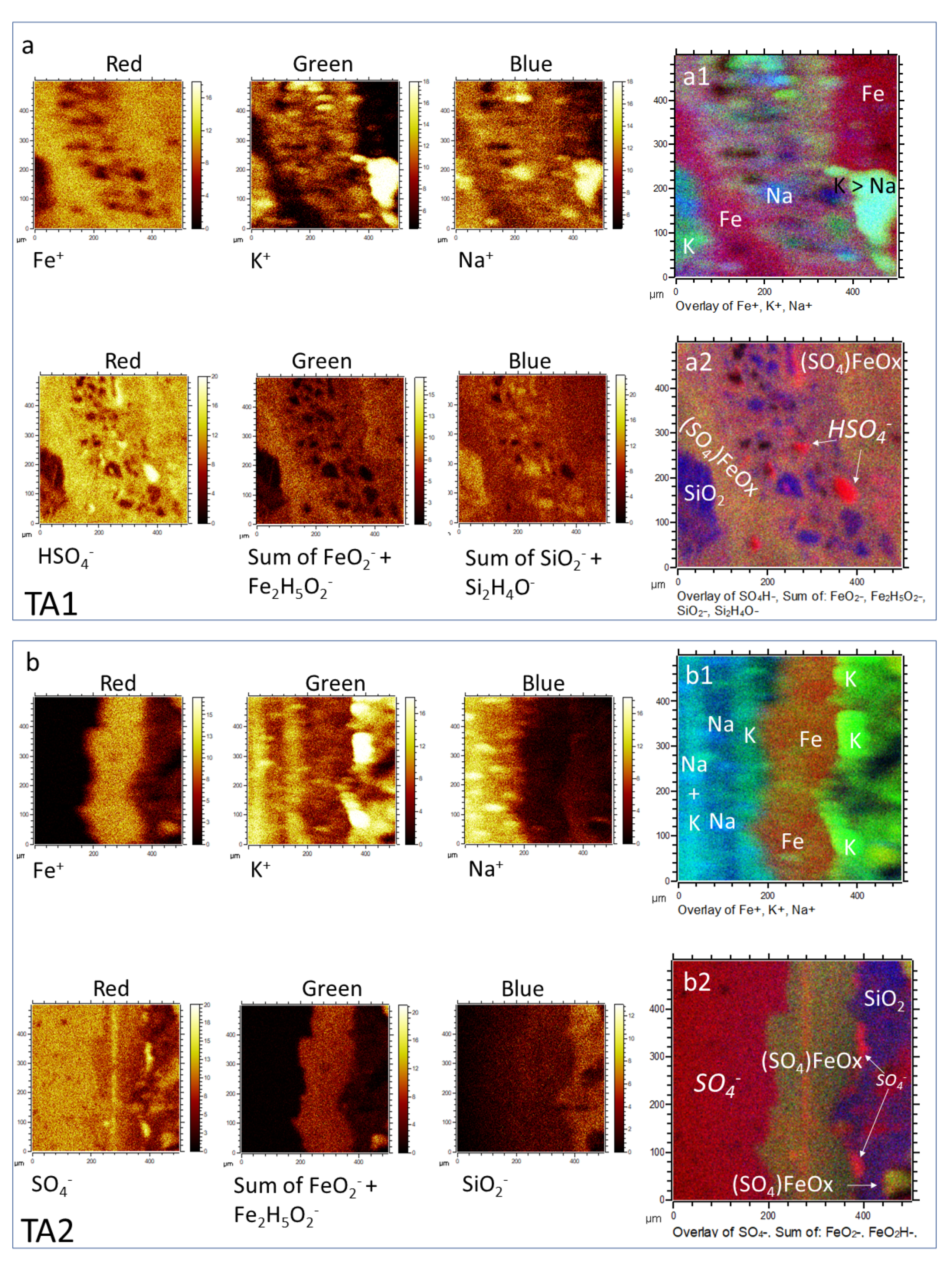 Microorganisms 09 01592 g003 550