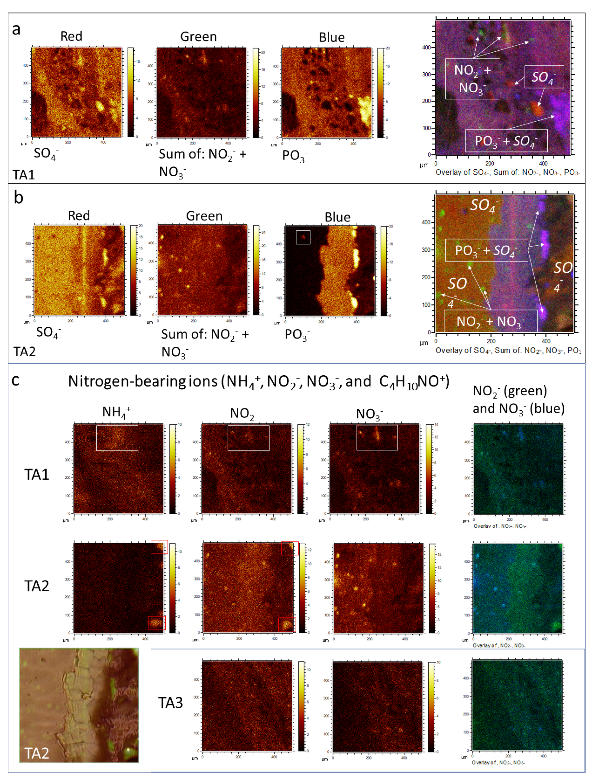 Microorganisms 09 01592 g004 550