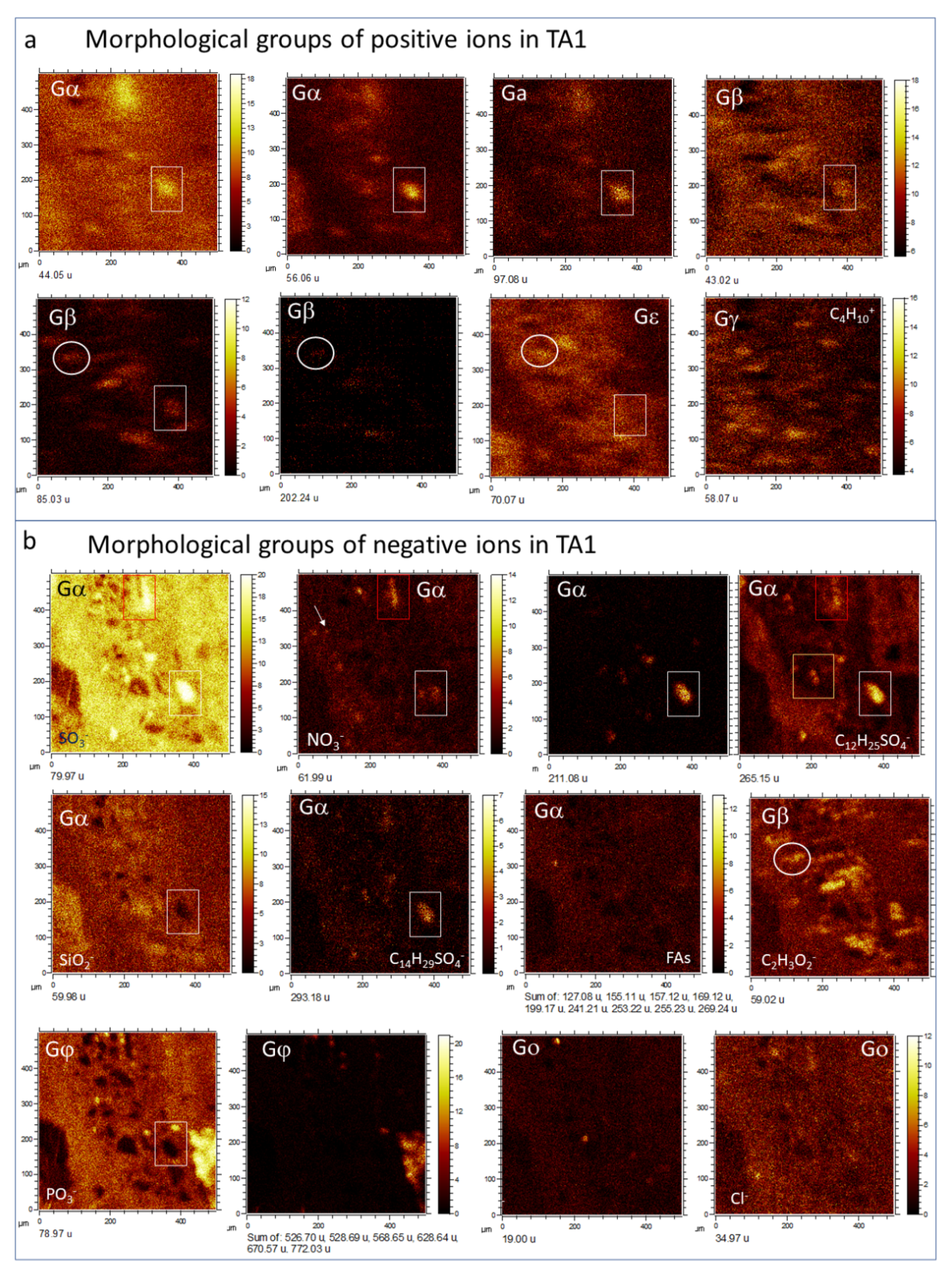 Microorganisms 09 01592 g005 550