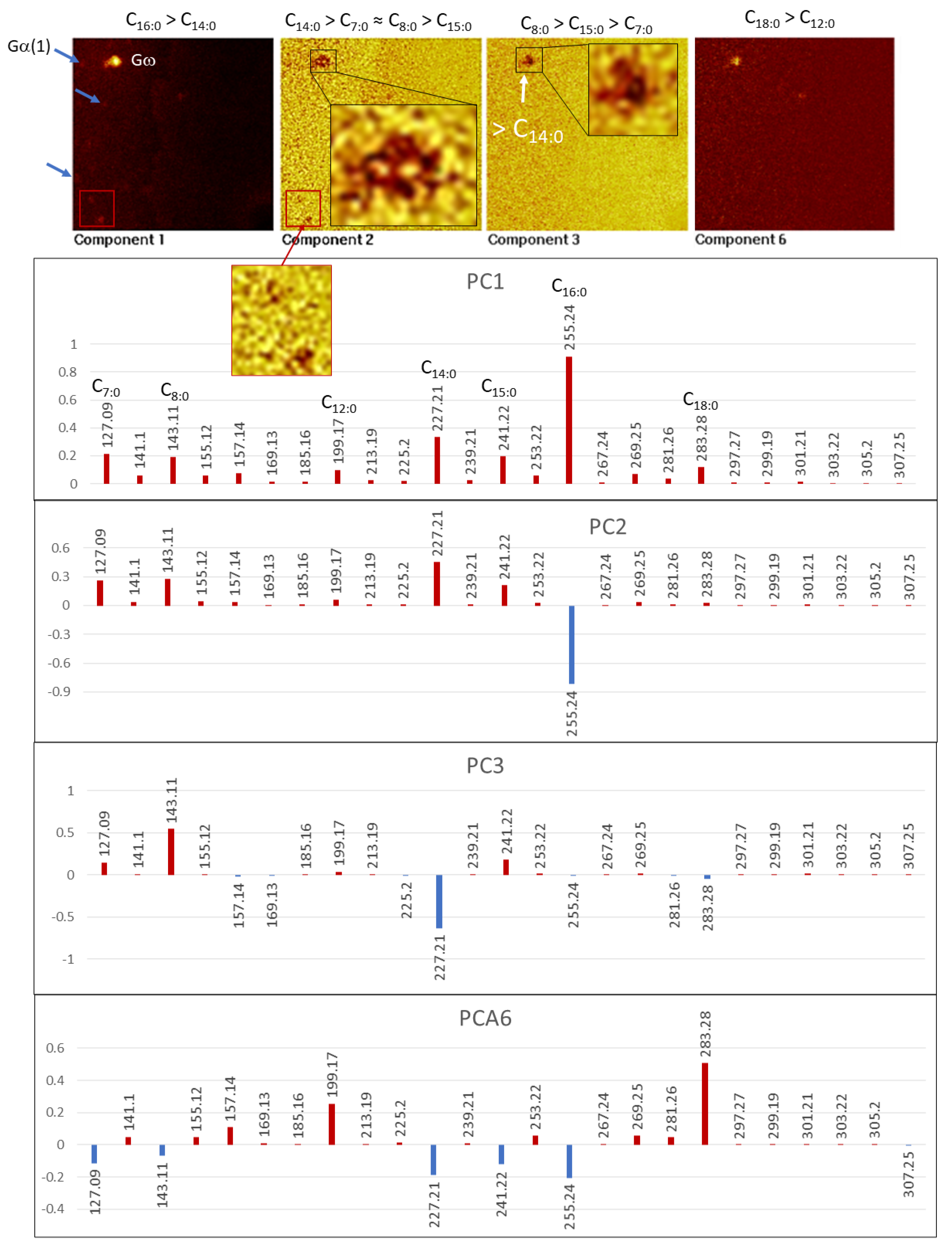 Microorganisms 09 01592 g011 550
