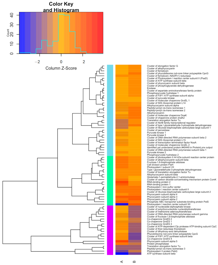 Microorganisms 09 01593 g005