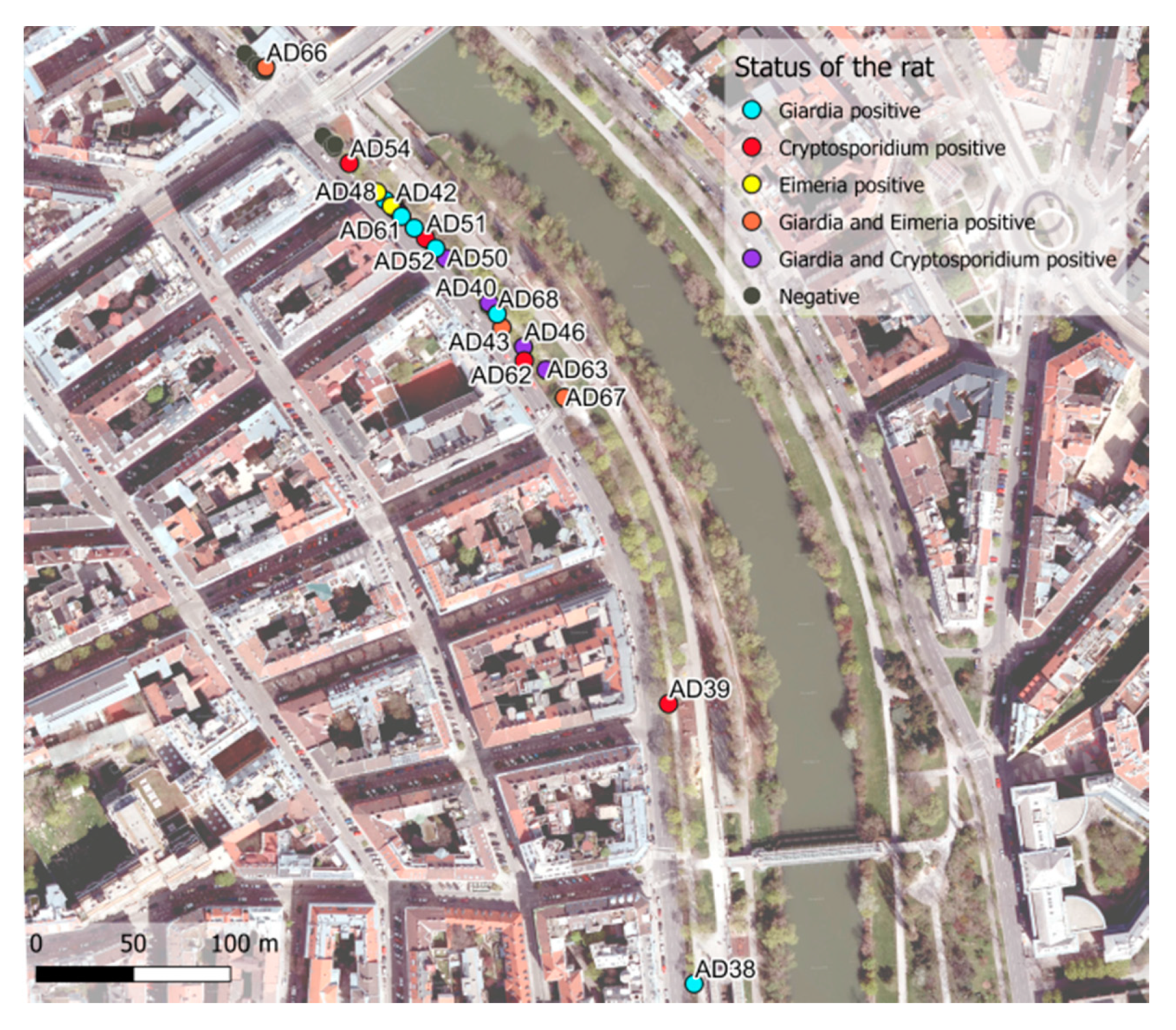 Microorganisms 09 01596 g001 Microorganisms 09 01596 g001
