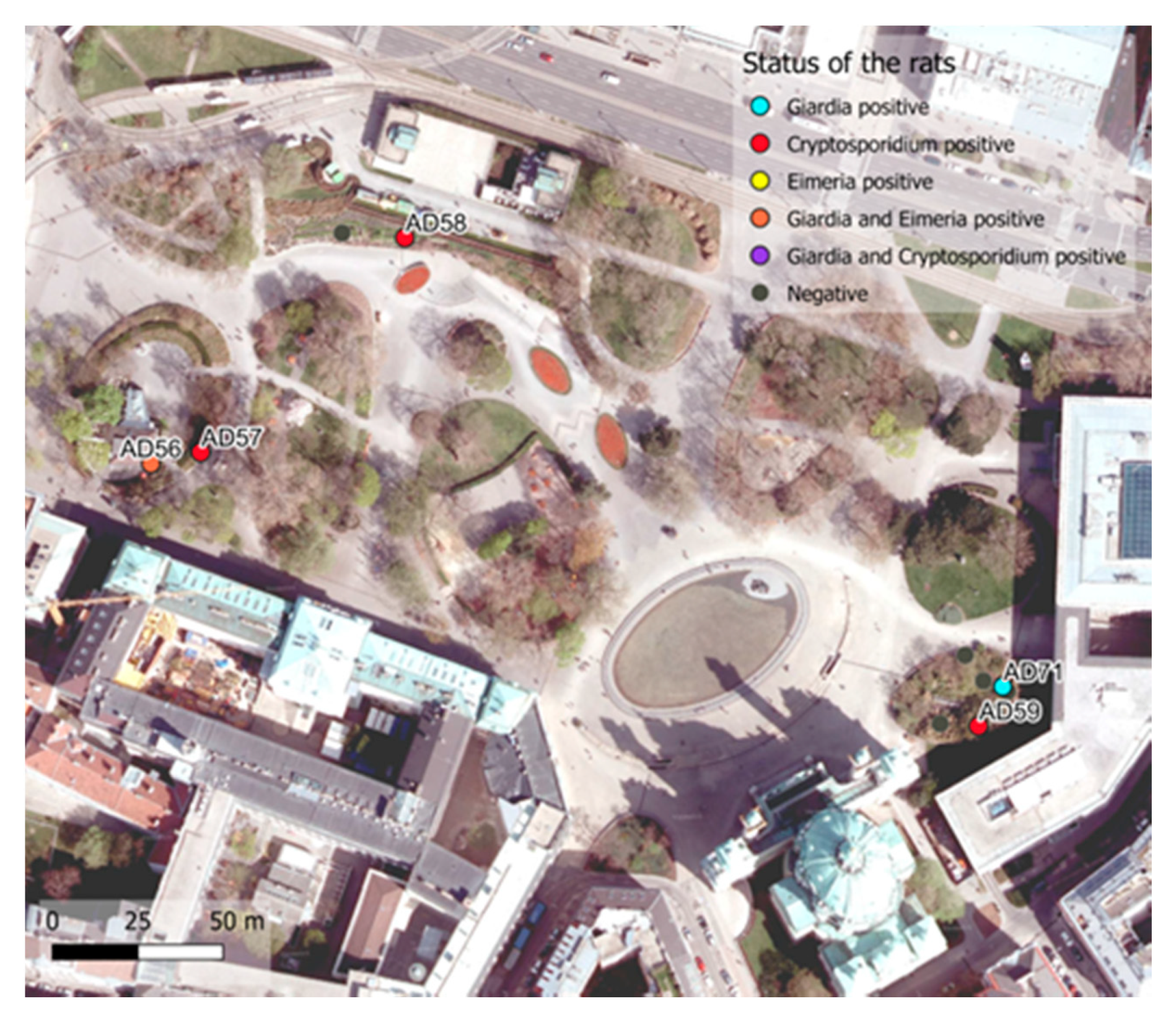 Microorganisms 09 01596 g002 Microorganisms 09 01596 g002