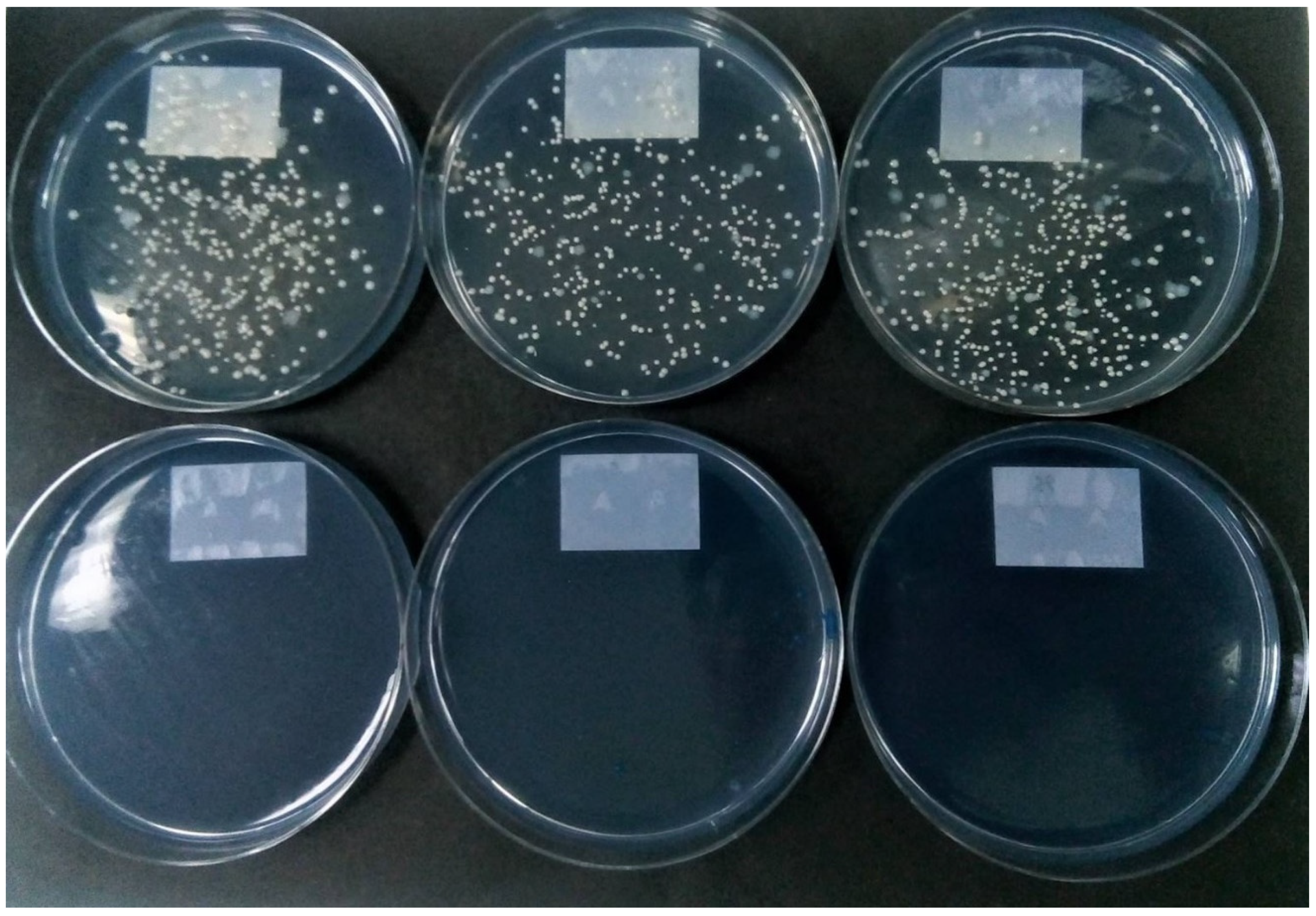 Microorganisms 09 01597 g002