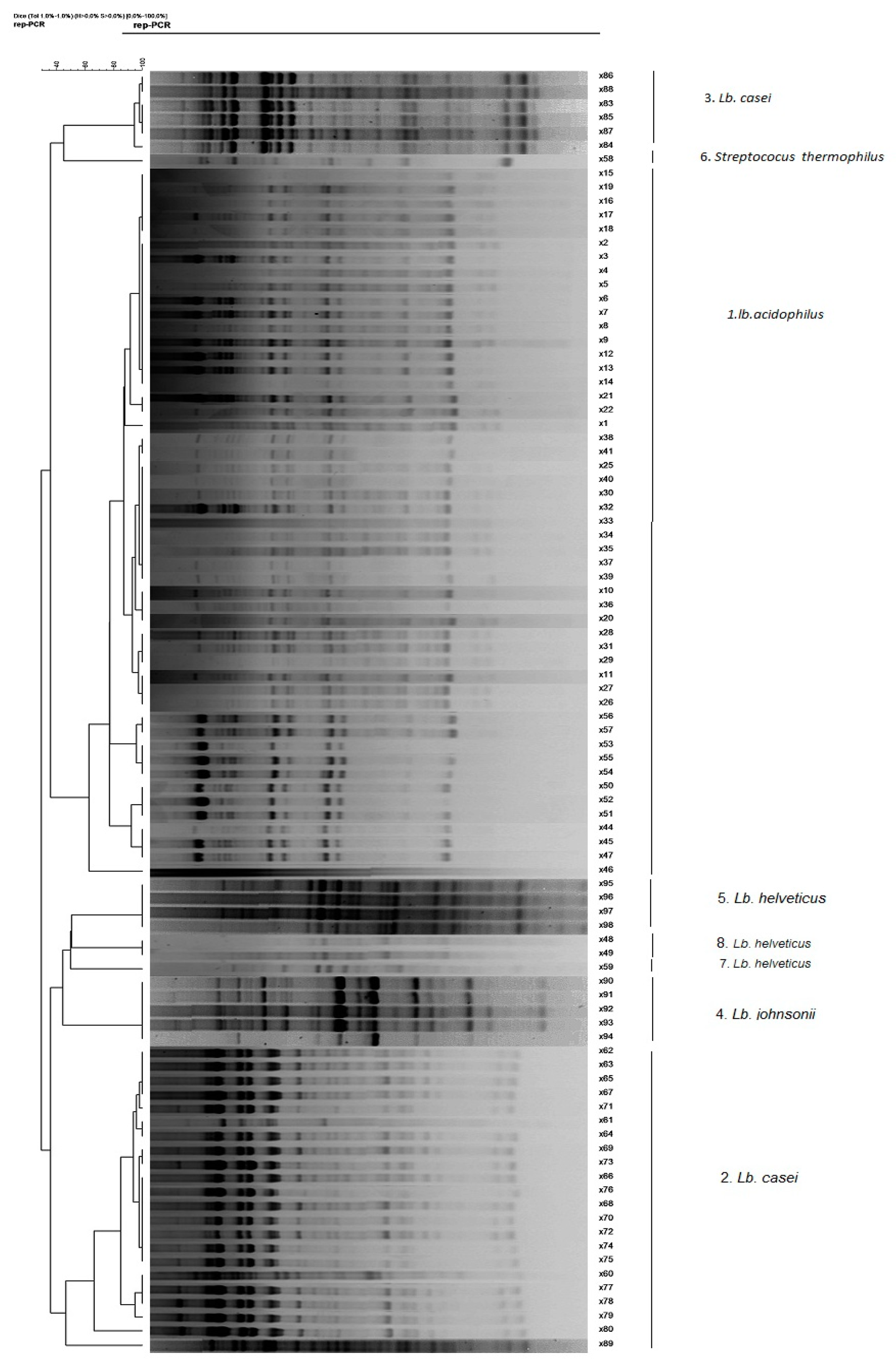 Microorganisms 09 01600 g003
