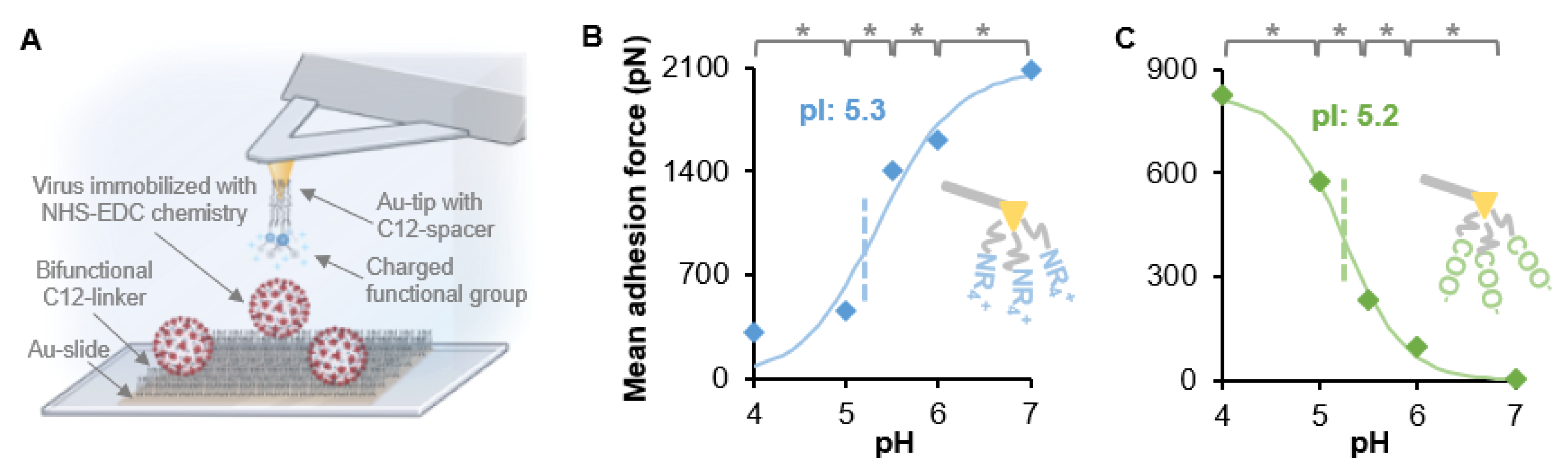Microorganisms 09 01606 g001