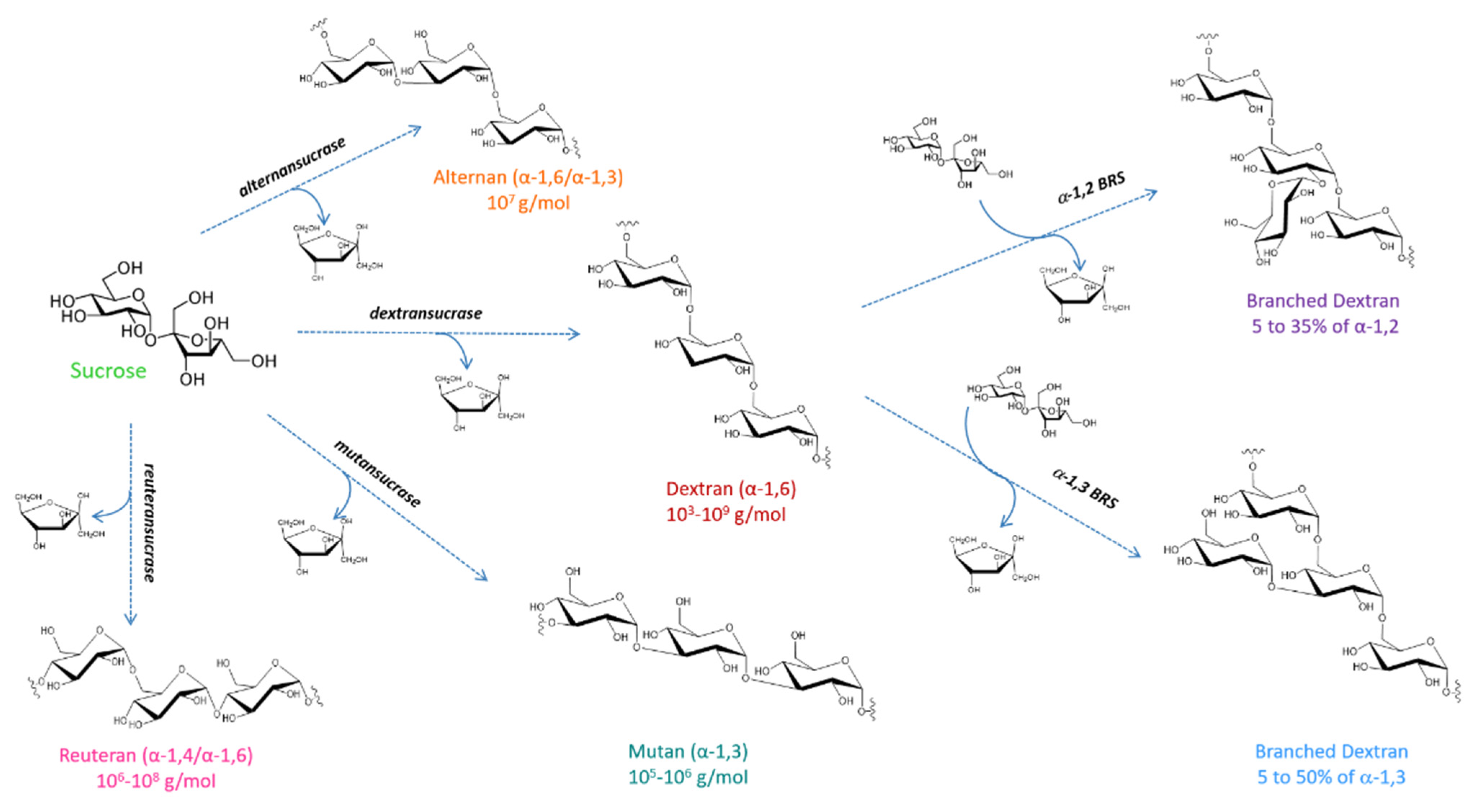 Microorganisms 09 01607 g001 Microorganisms 09 01607 g001