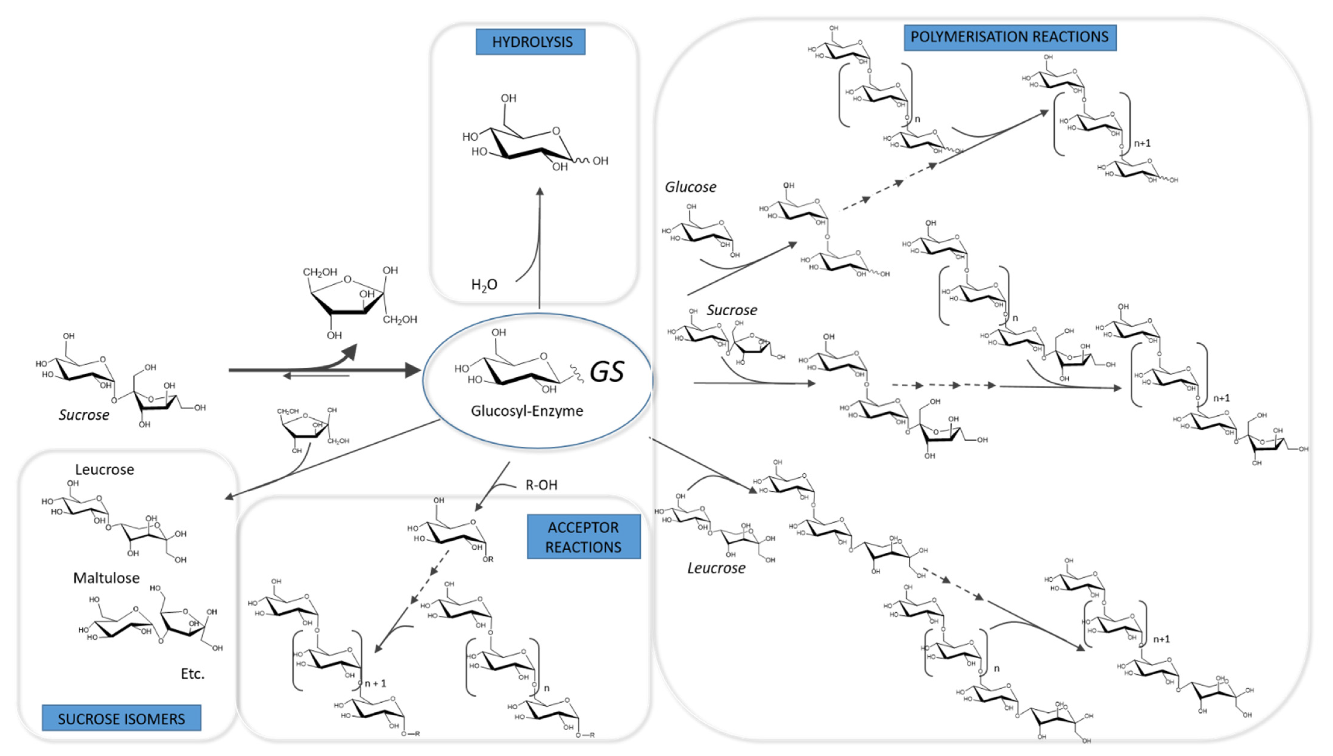 Microorganisms 09 01607 g002 Microorganisms 09 01607 g002