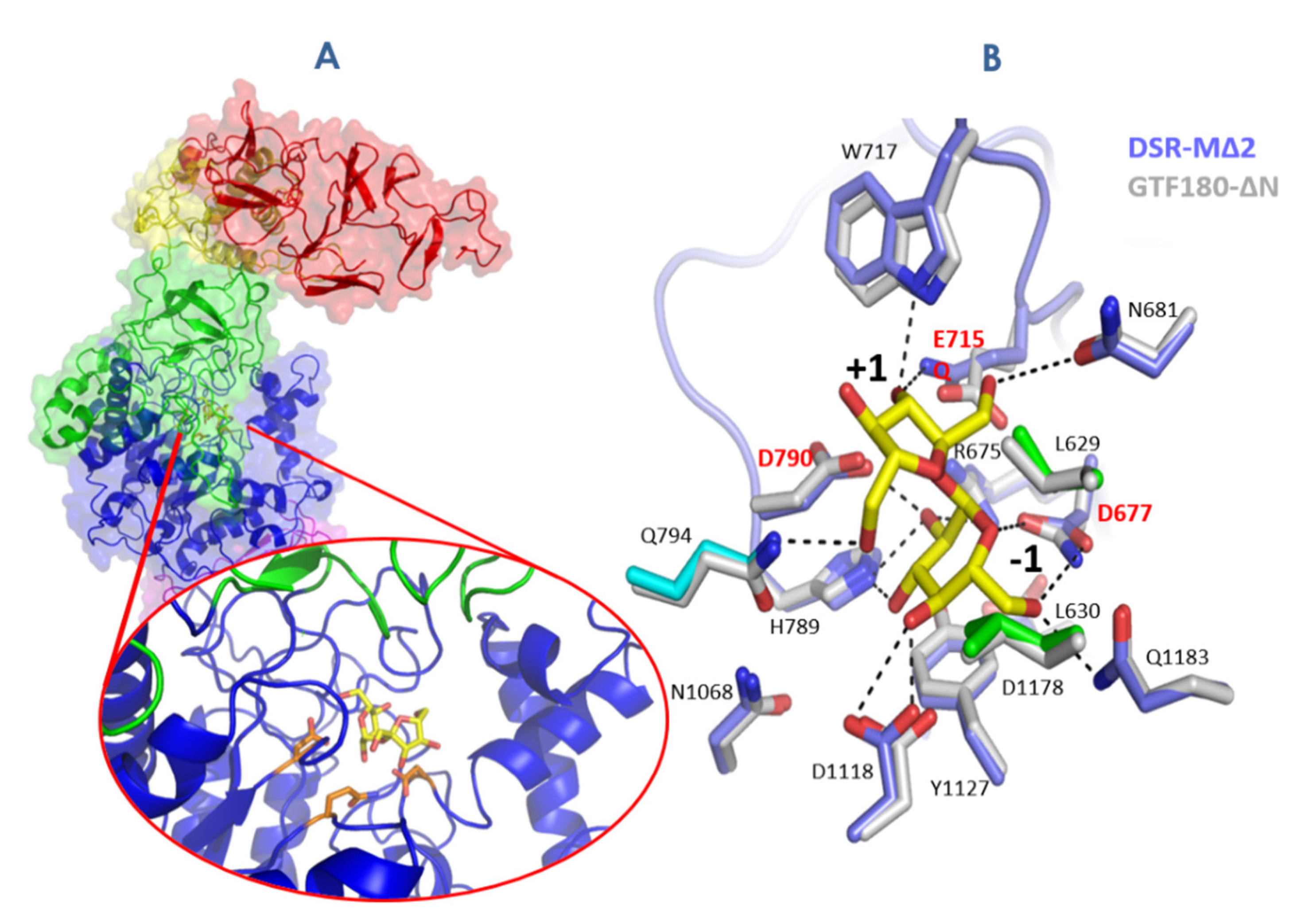 Microorganisms 09 01607 g005 Microorganisms 09 01607 g005