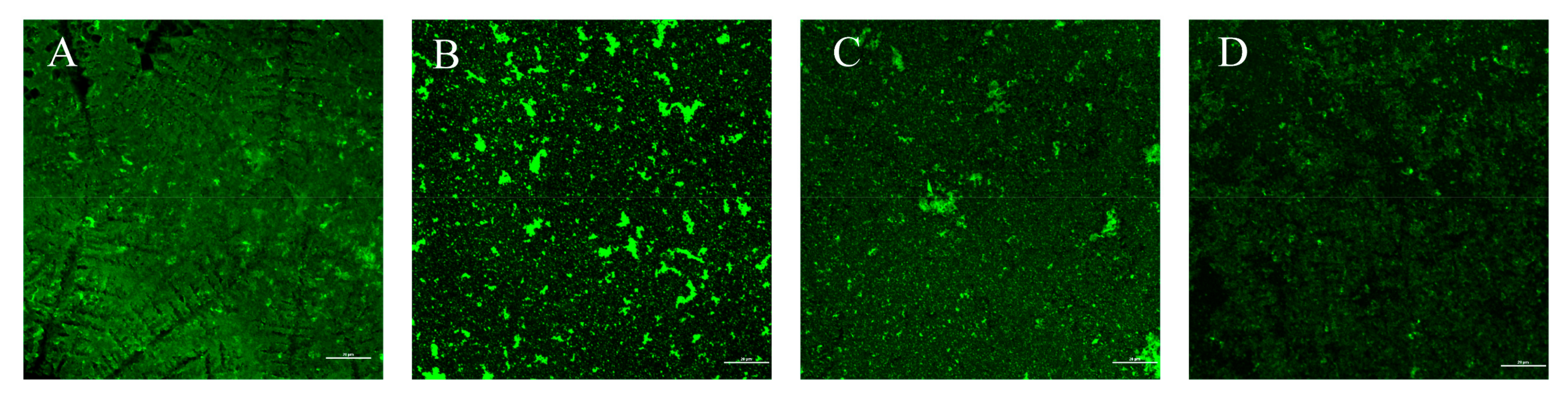 Microorganisms 09 01611 g009