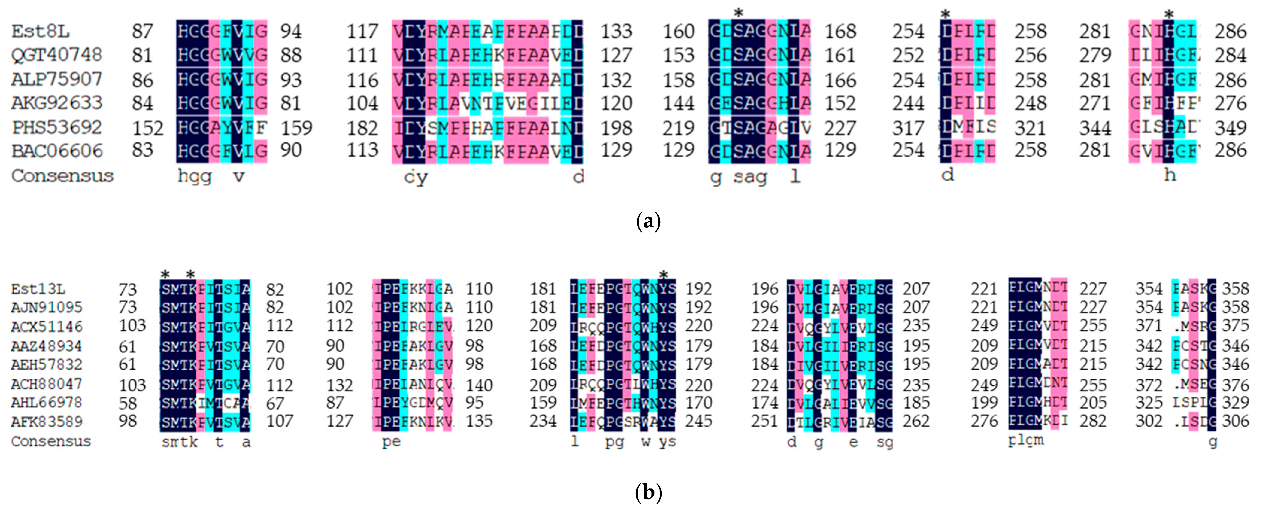 Microorganisms 09 01614 g002