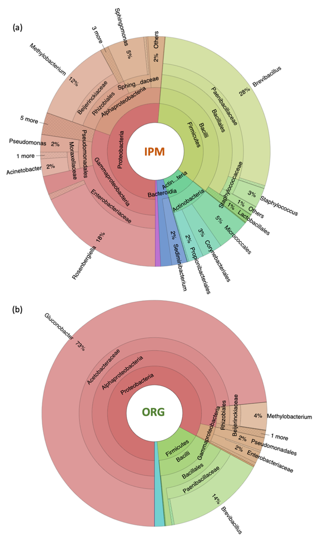 Microorganisms 09 01617 g001