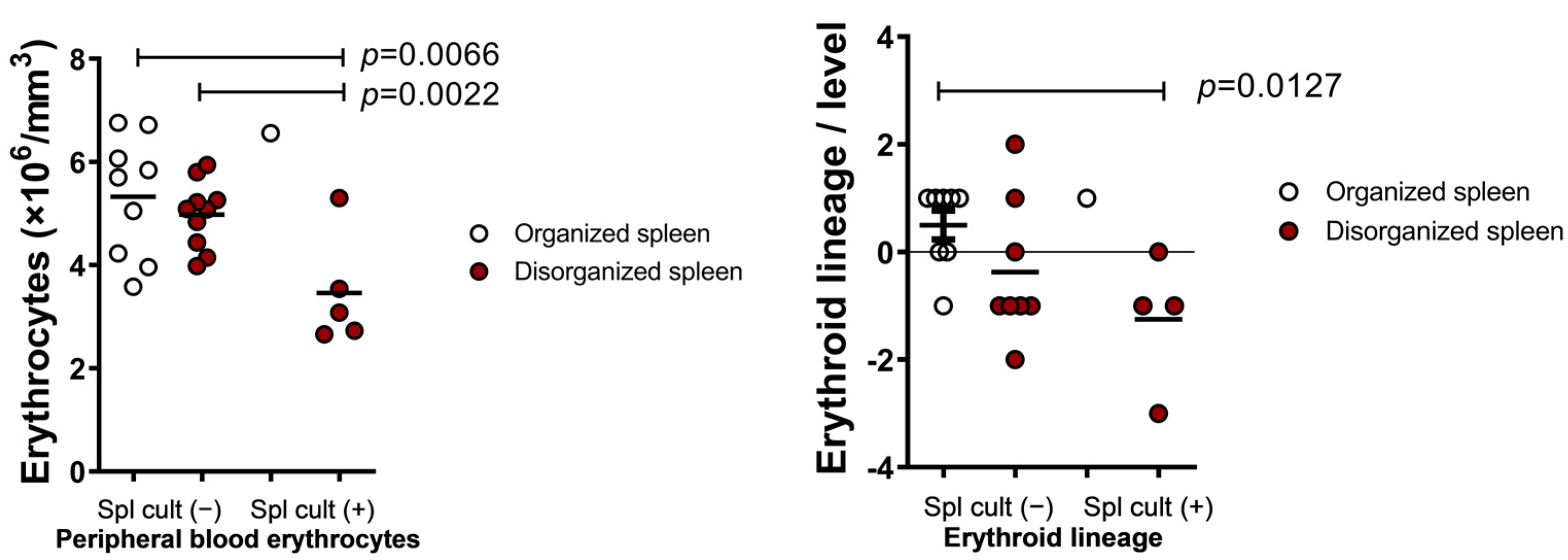 Microorganisms 09 01618 g003