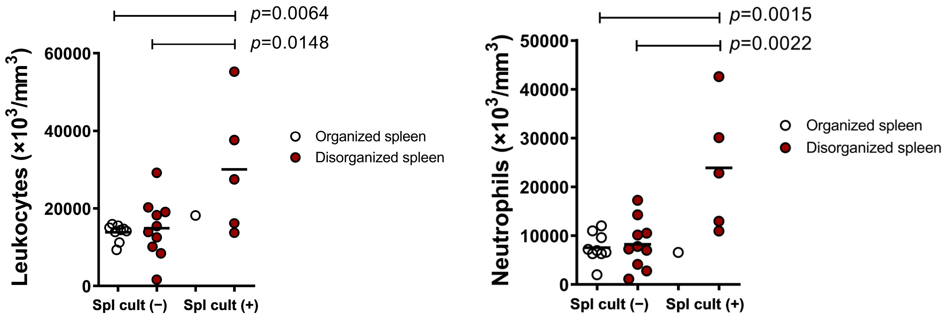 Microorganisms 09 01618 g004