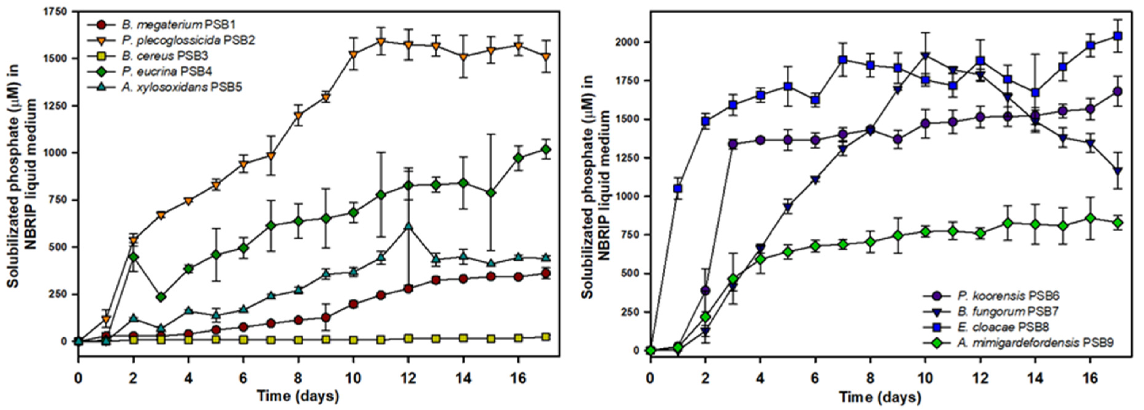 Microorganisms 09 01619 g001