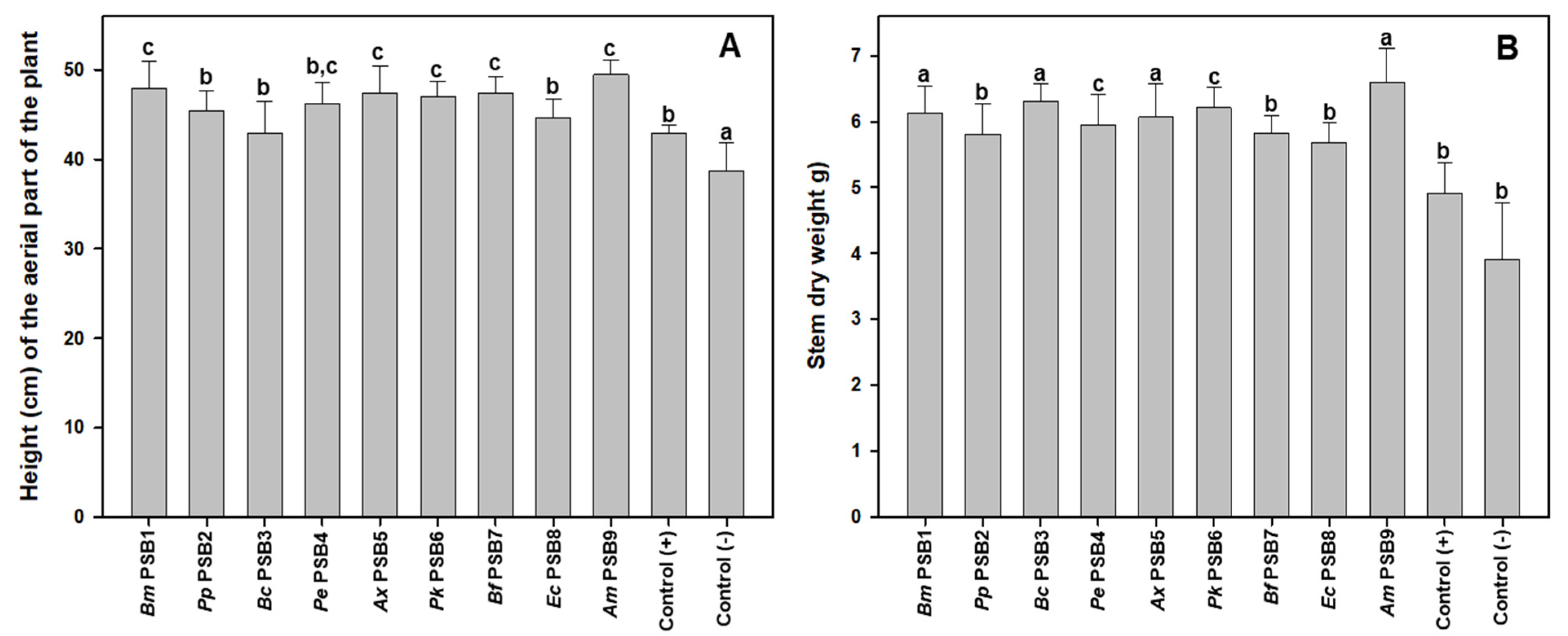 Microorganisms 09 01619 g003