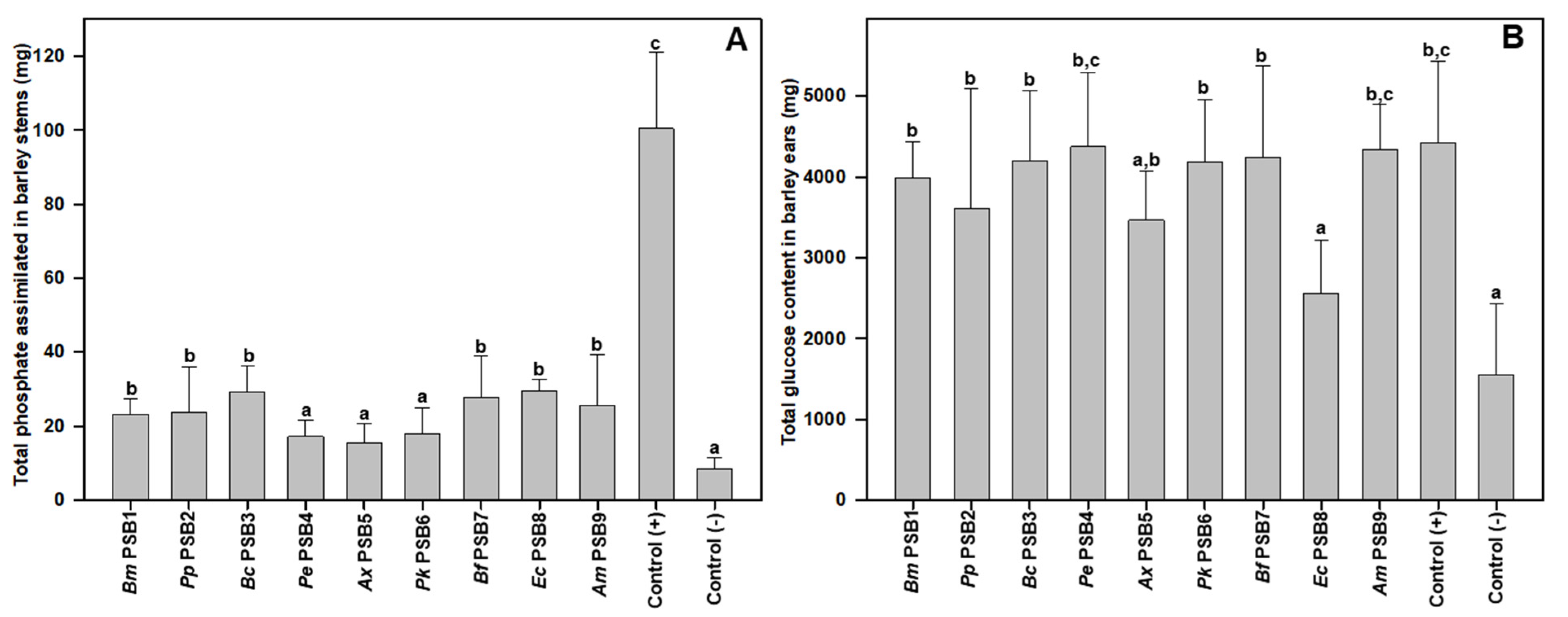 Microorganisms 09 01619 g005