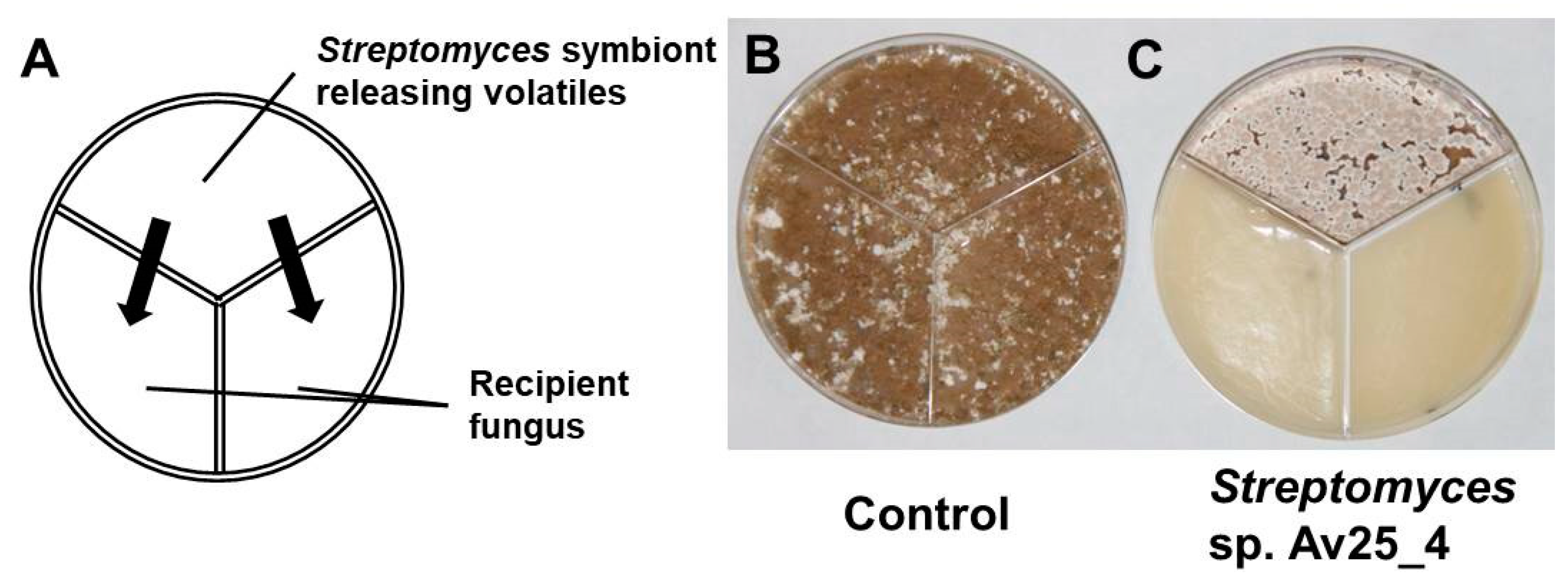 Microorganisms 09 01622 g001