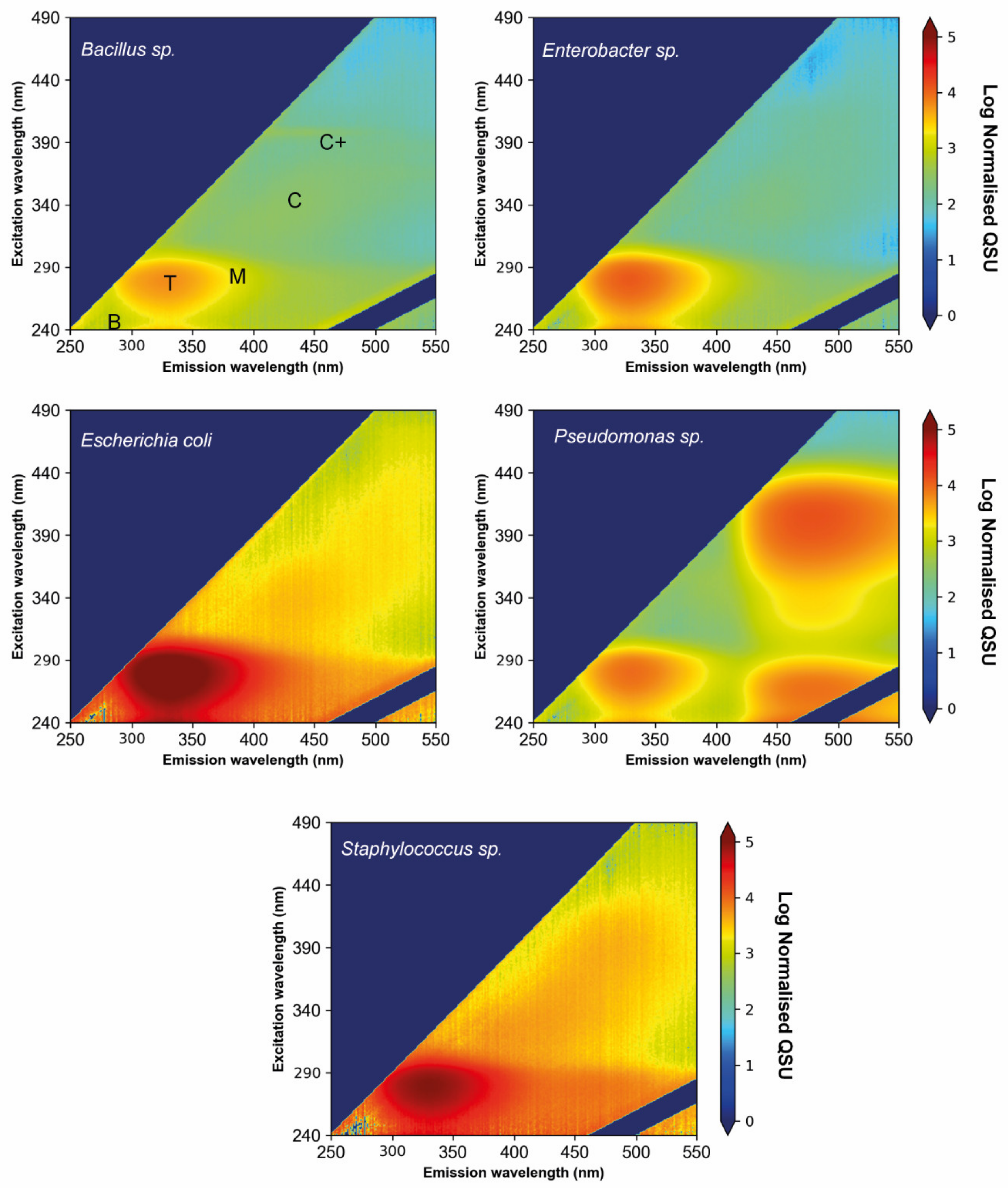 Microorganisms 09 01623 g002