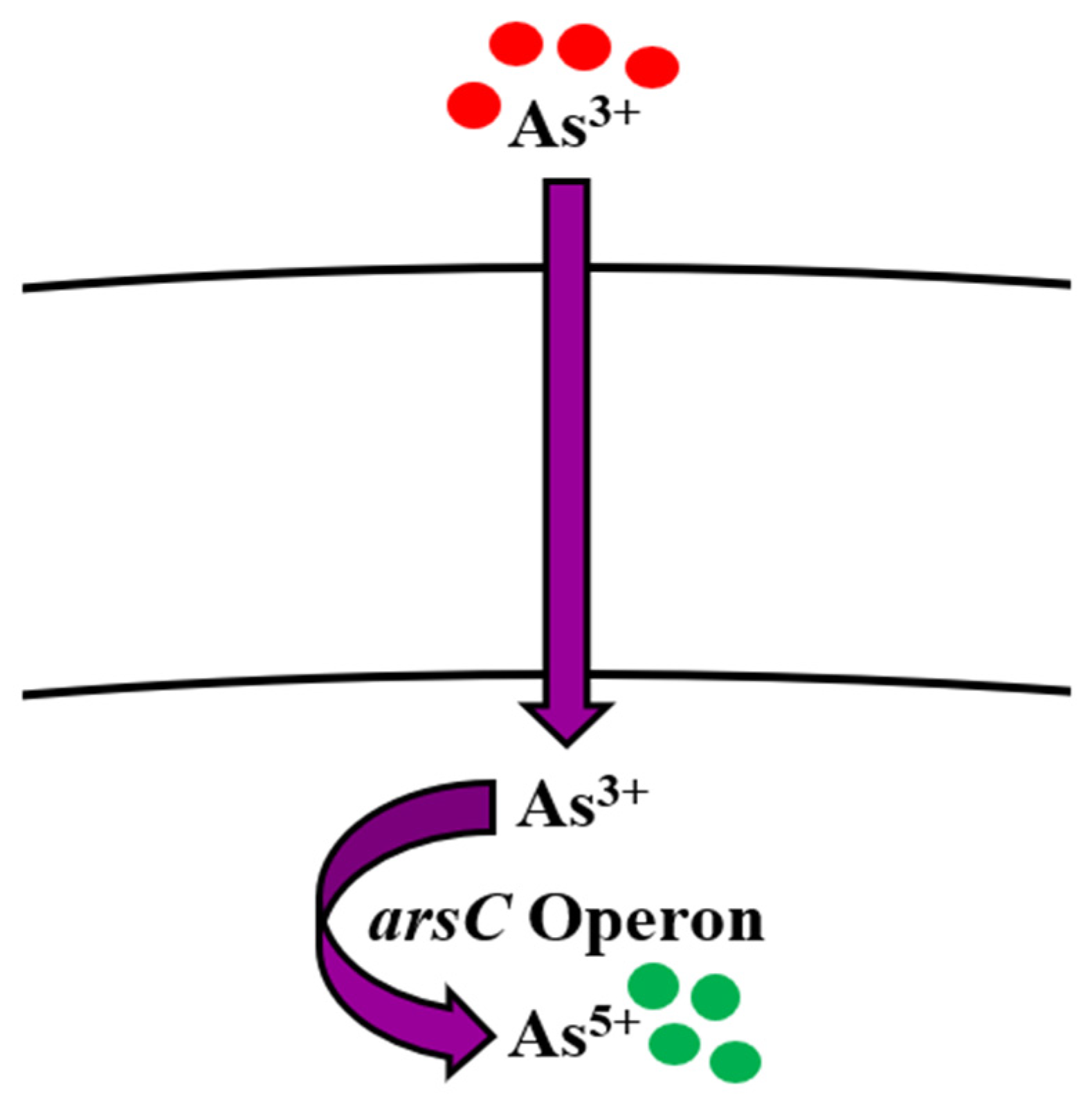 Microorganisms 09 01628 g001 Microorganisms 09 01628 g001