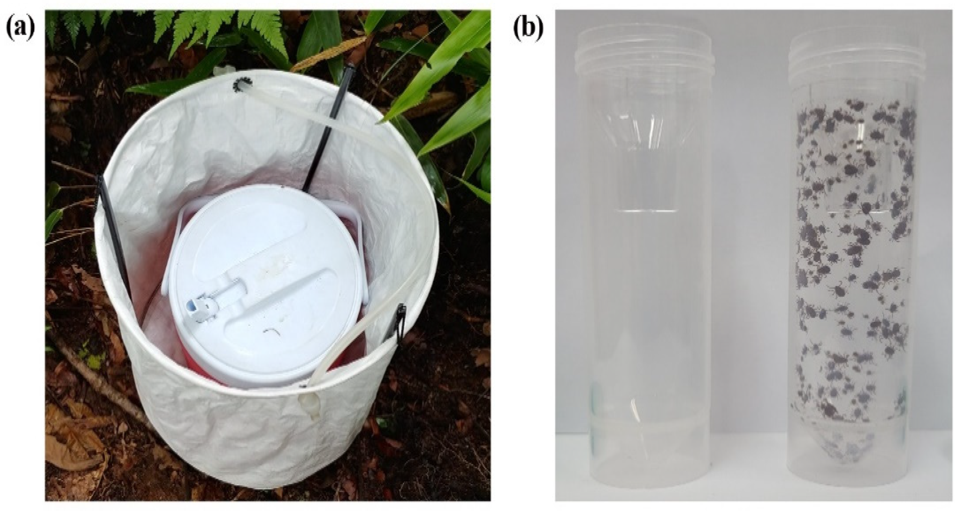 Microorganisms 09 01630 g002 550