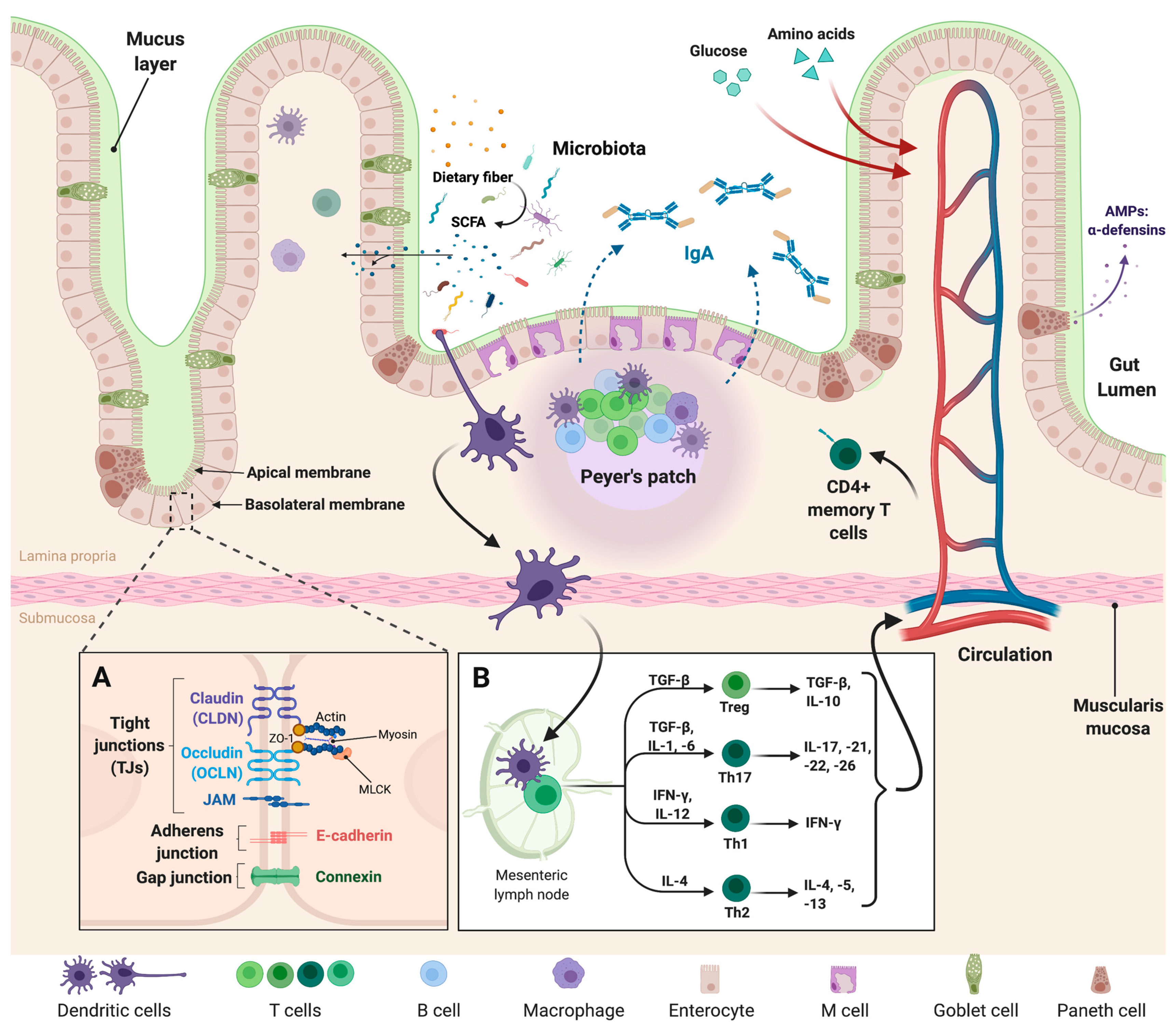Microorganisms 09 01634 g001 Microorganisms 09 01634 g001