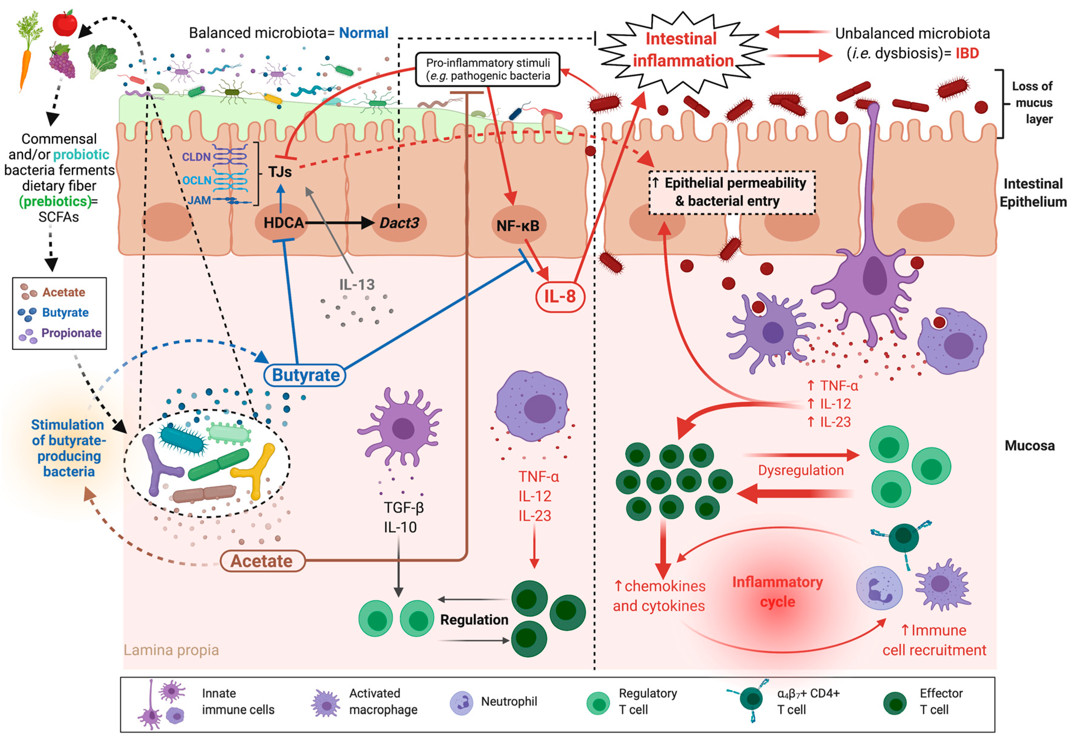 Microorganisms 09 01634 g002 Microorganisms 09 01634 g002