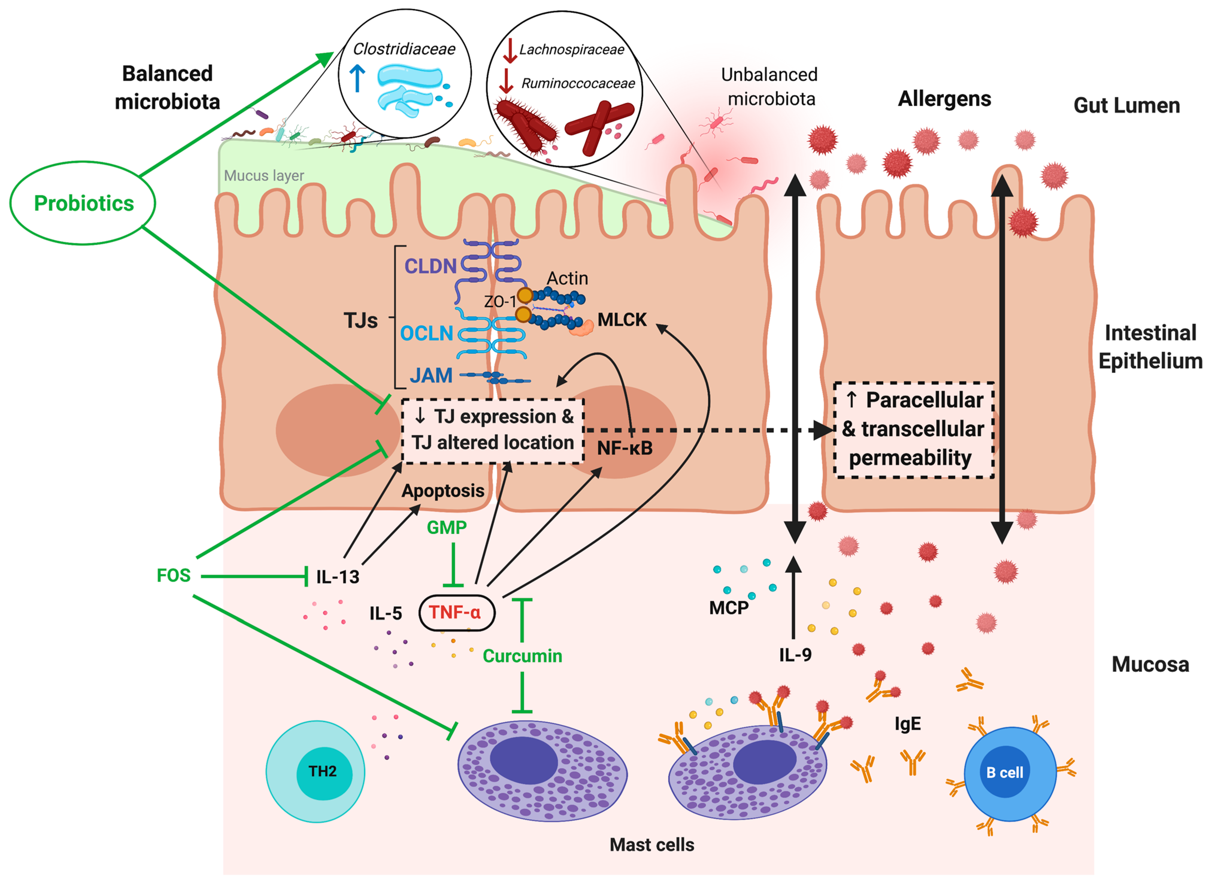 Microorganisms 09 01634 g004 Microorganisms 09 01634 g004