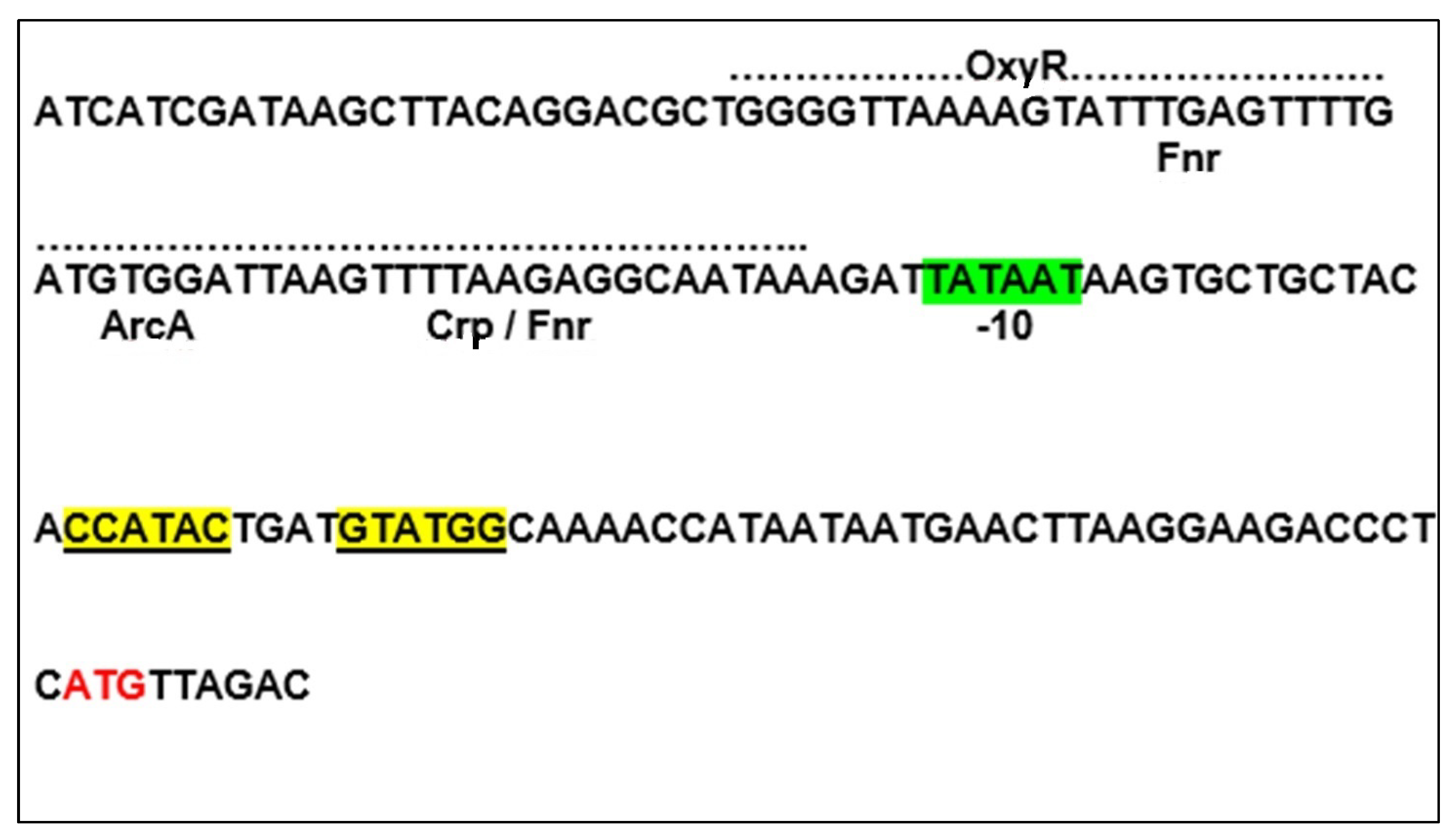 Microorganisms 09 01637 g001