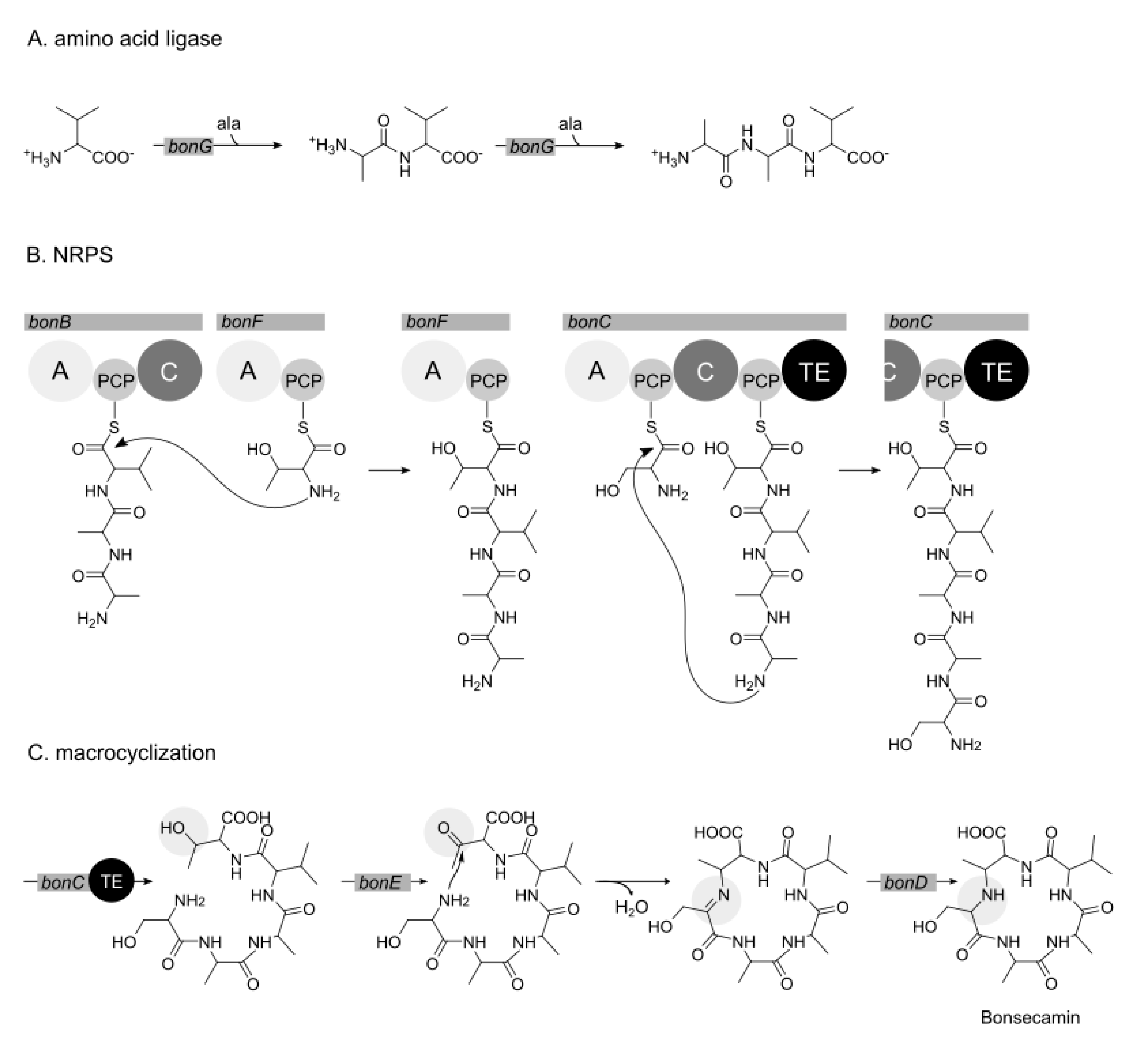 Microorganisms 09 01640 g005 550