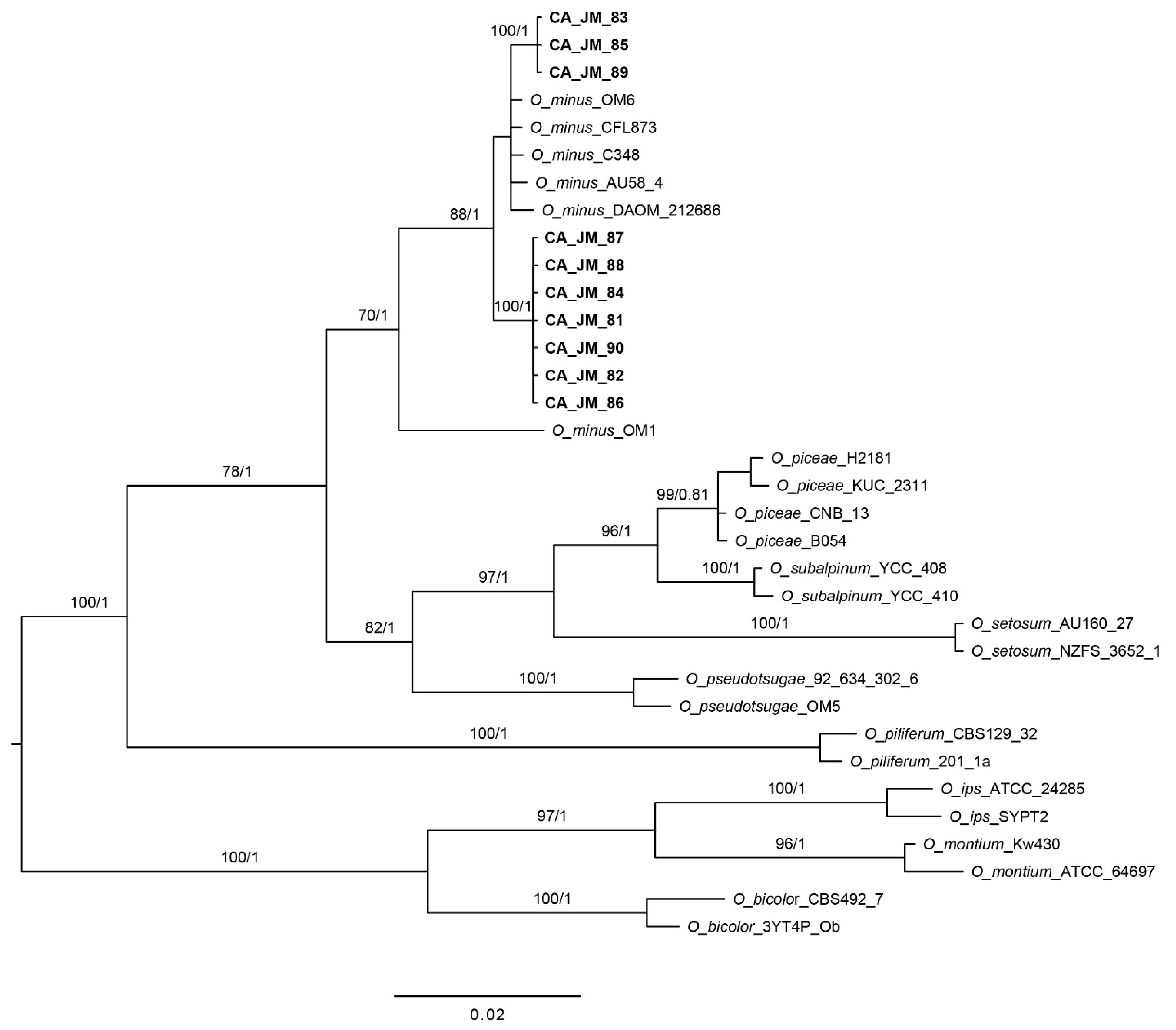 Microorganisms 09 01641 g002