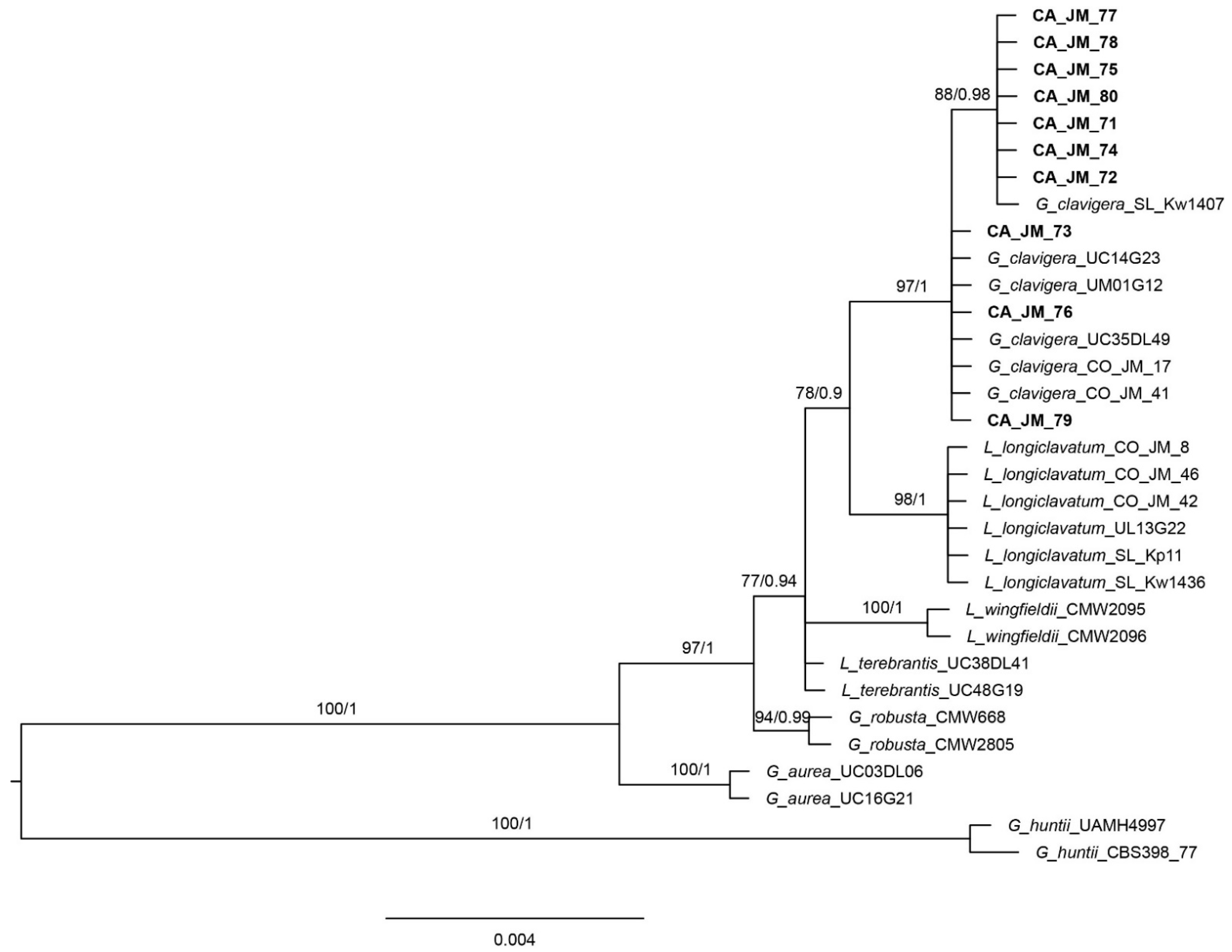 Microorganisms 09 01641 g003