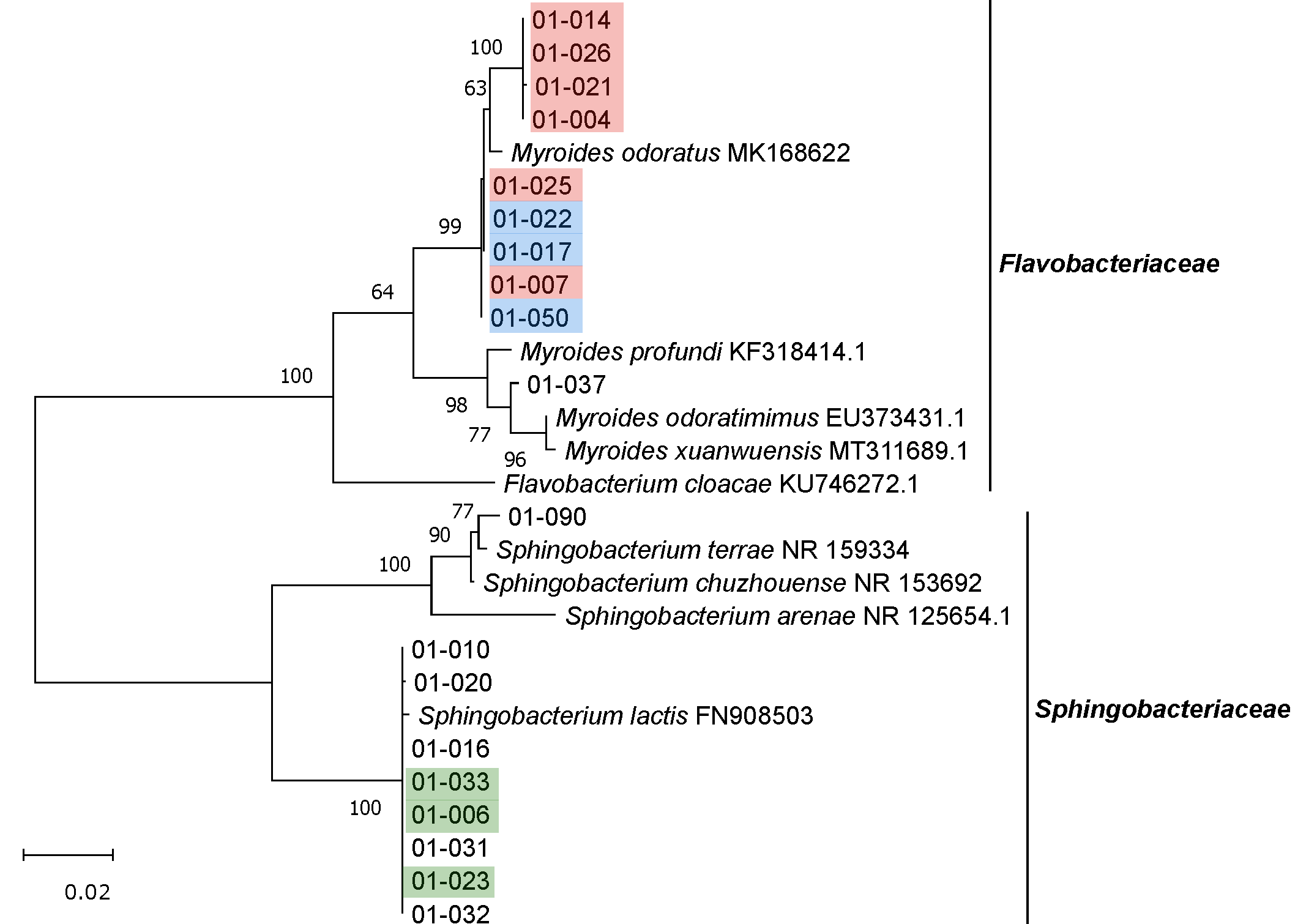Microorganisms 09 01642 g005