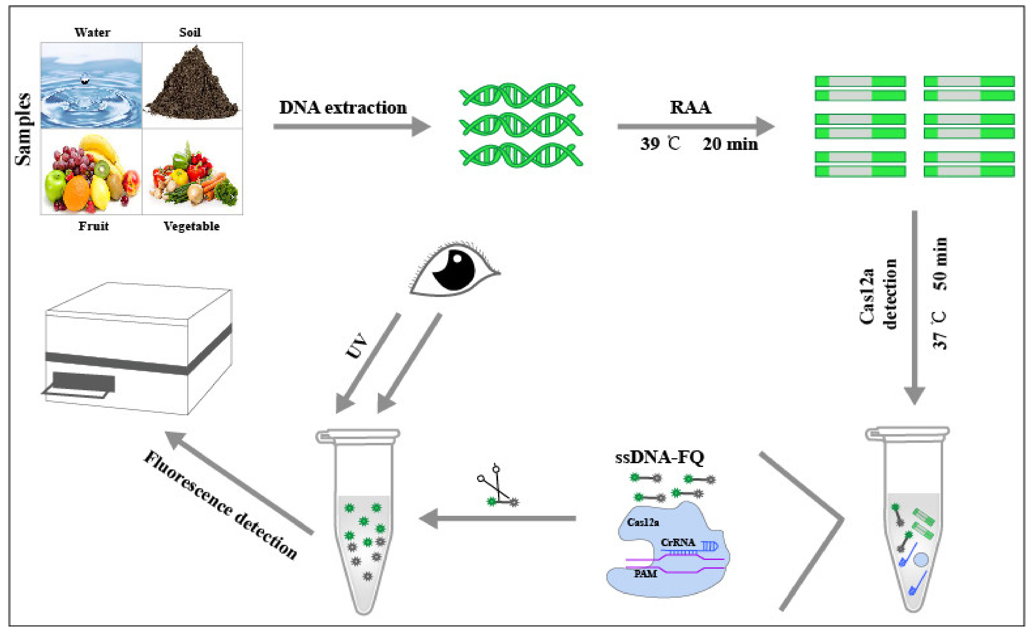 Microorganisms 09 01644 g001 550
