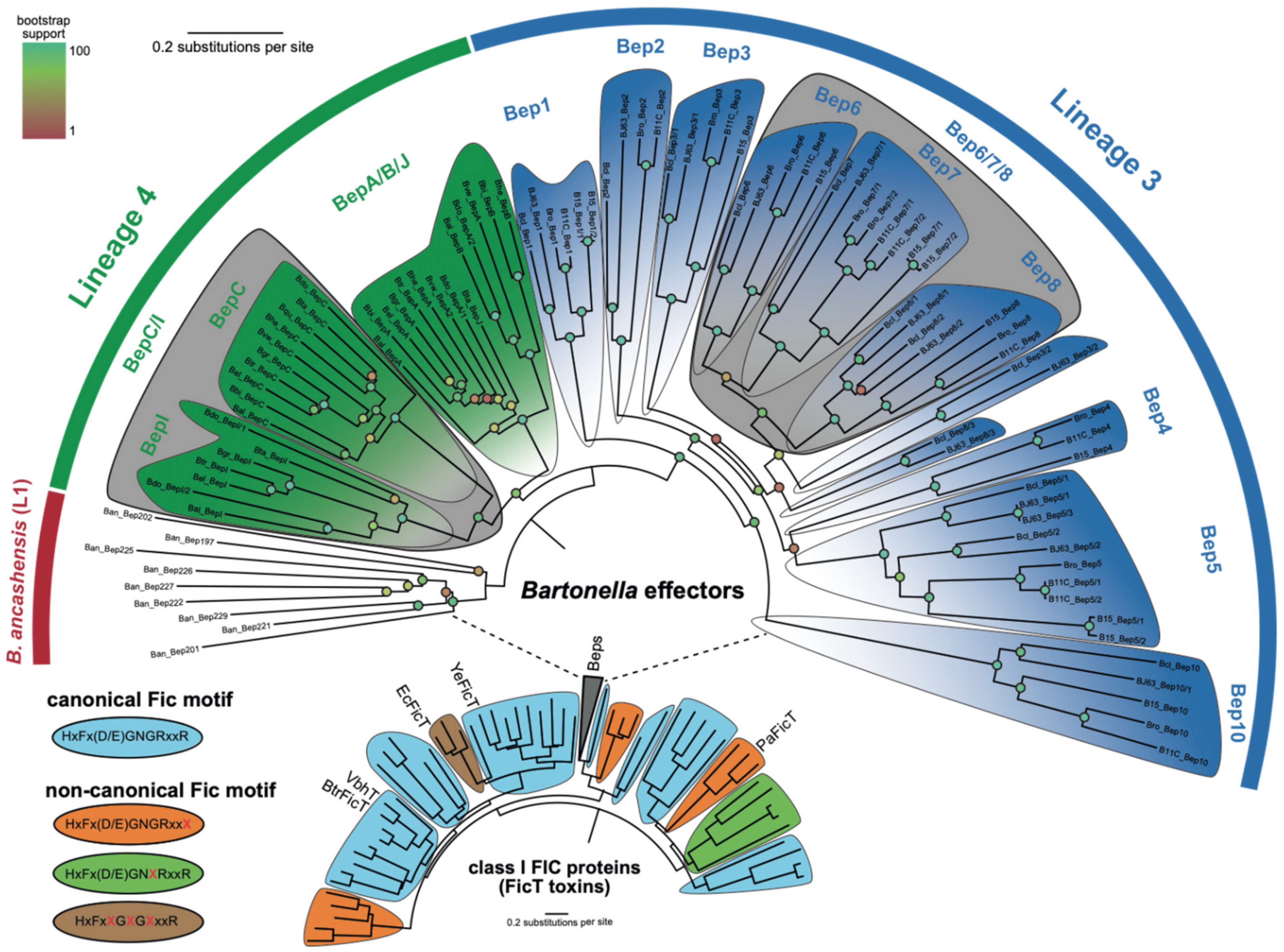 Microorganisms 09 01645 g001 Microorganisms 09 01645 g001