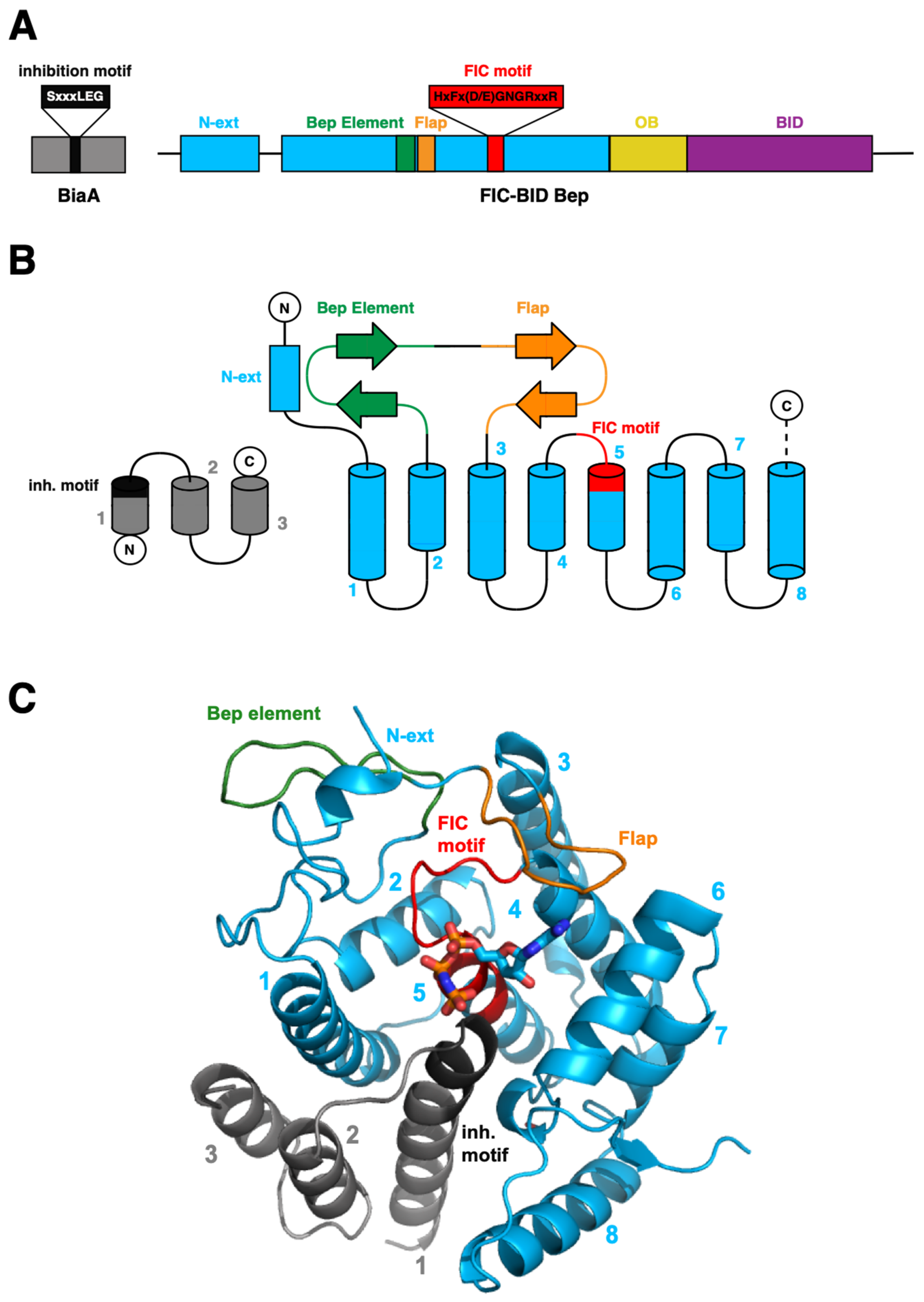 Microorganisms 09 01645 g002 Microorganisms 09 01645 g002