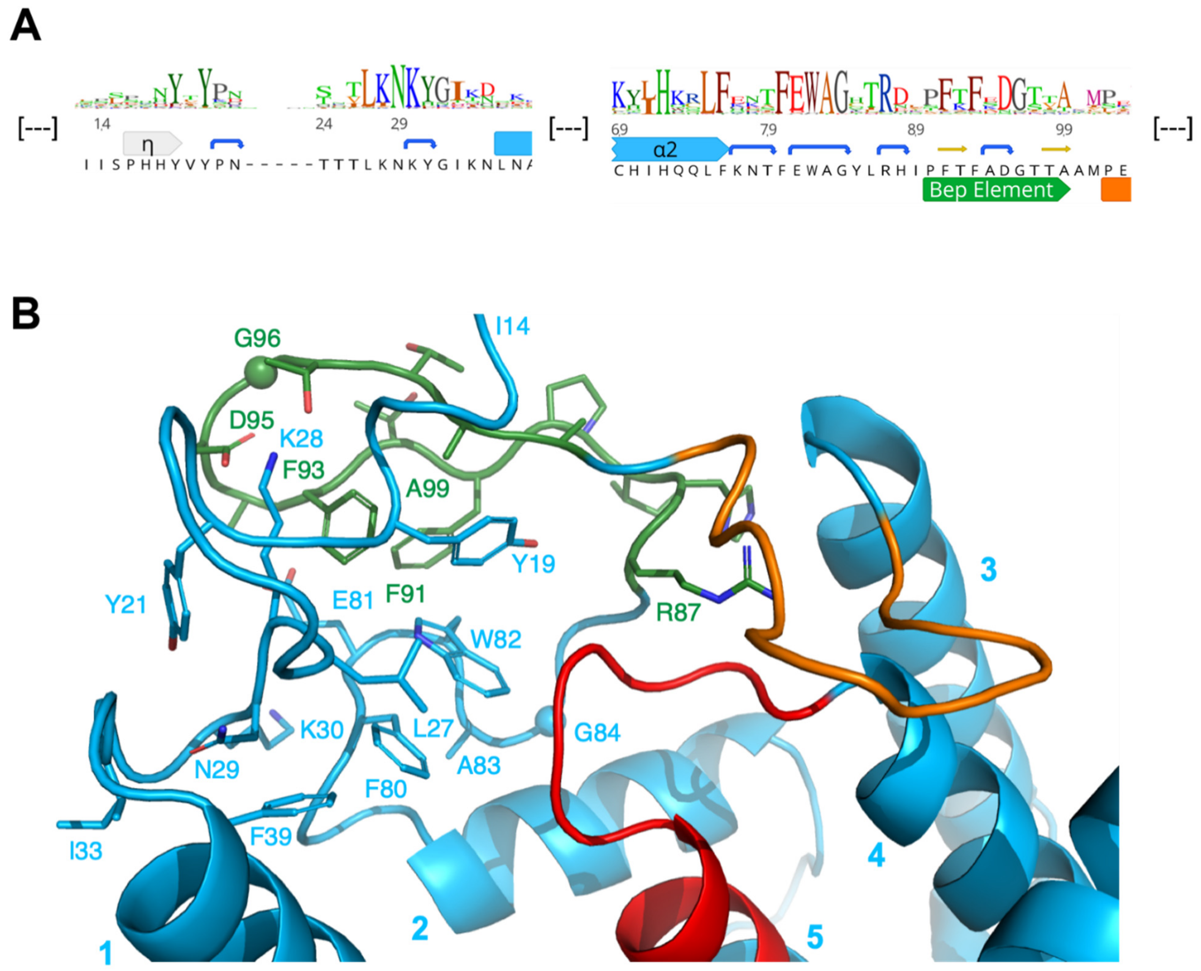 Microorganisms 09 01645 g004 Microorganisms 09 01645 g004