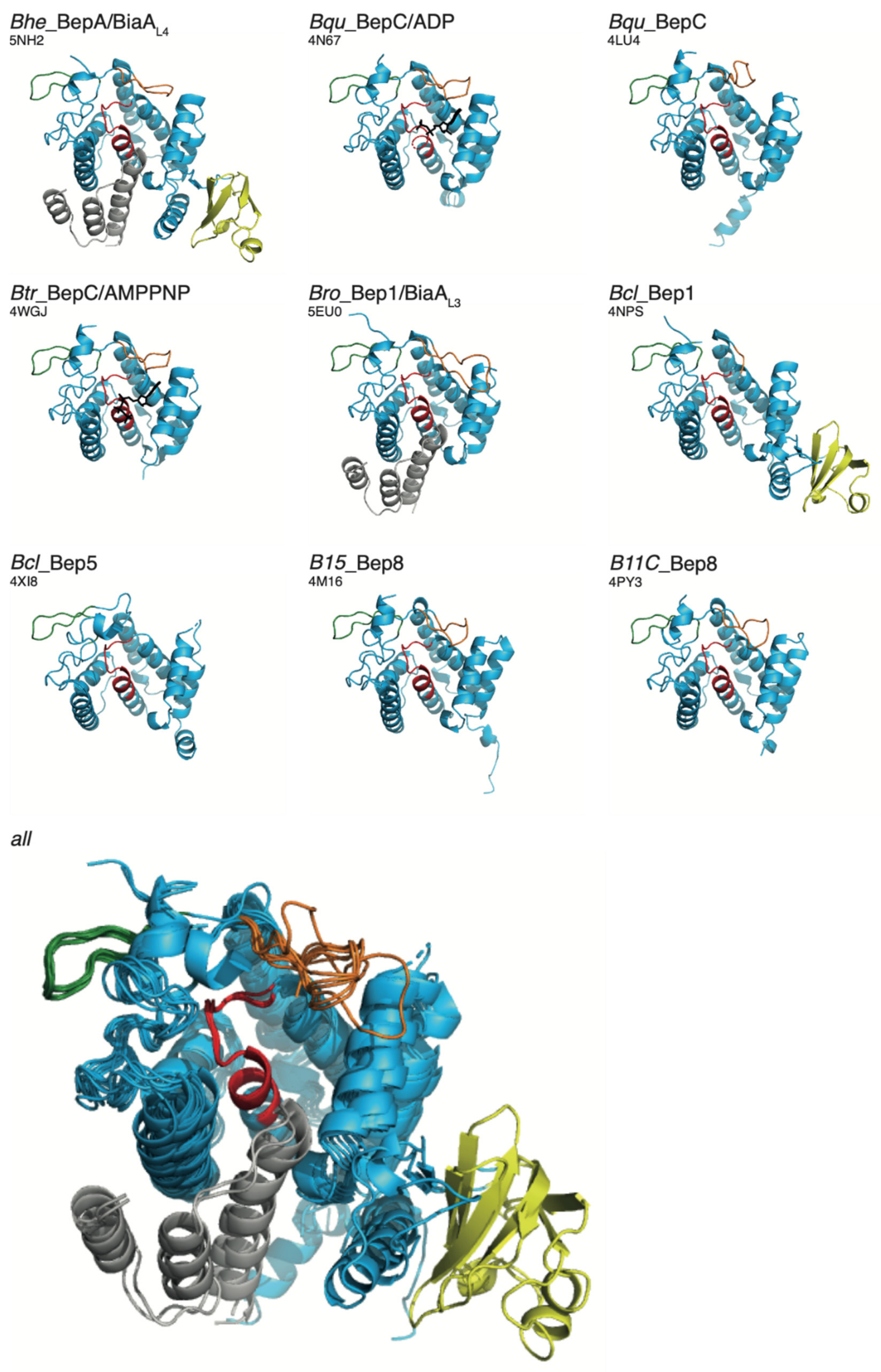 Microorganisms 09 01645 g005 Microorganisms 09 01645 g005